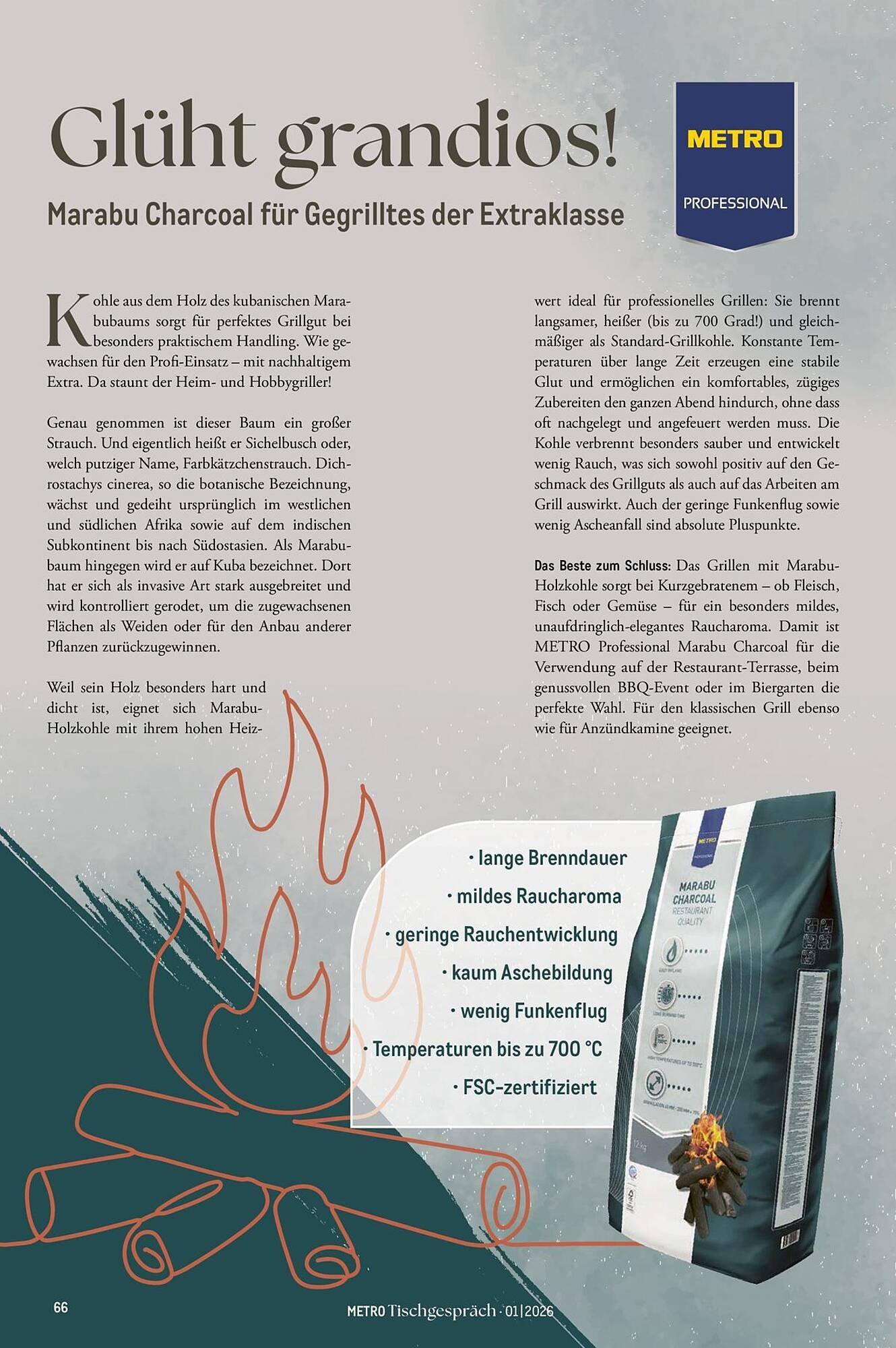 METRO Prospekt (2026-02-01 - 2026-02-28)