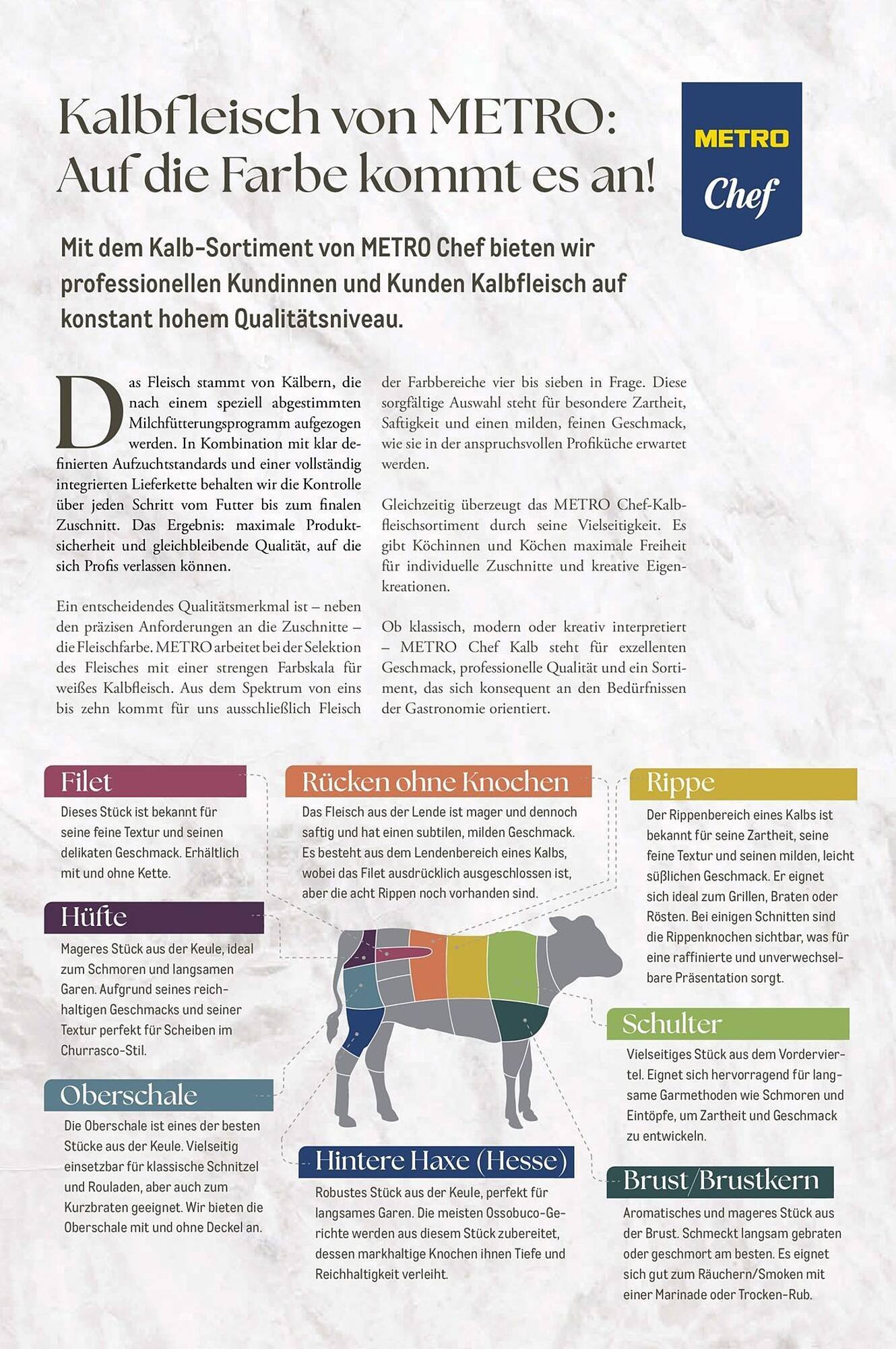 METRO Prospekt (2026-02-01 - 2026-02-28)