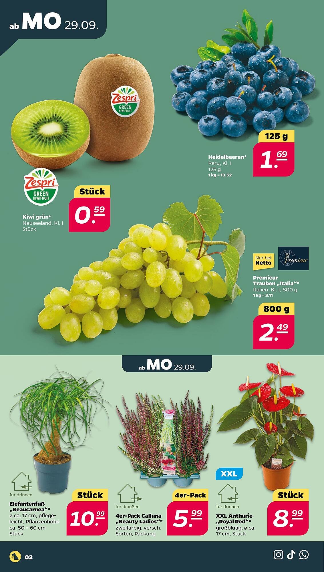 NETTO Prospekt (2025-09-29 - 2025-10-04) | 2