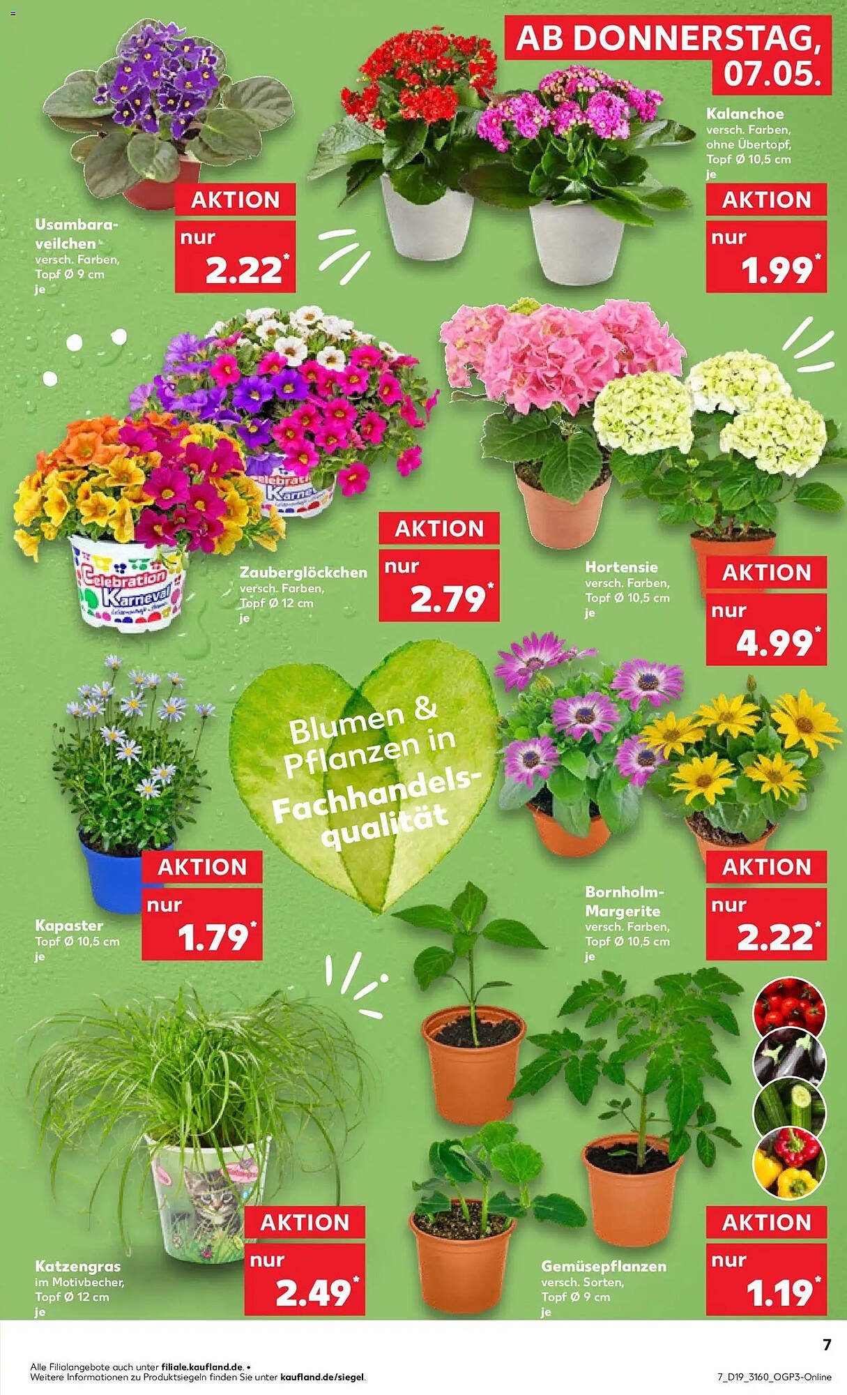 Kaufland Prospekt (2026-05-07 - 2026-05-13)