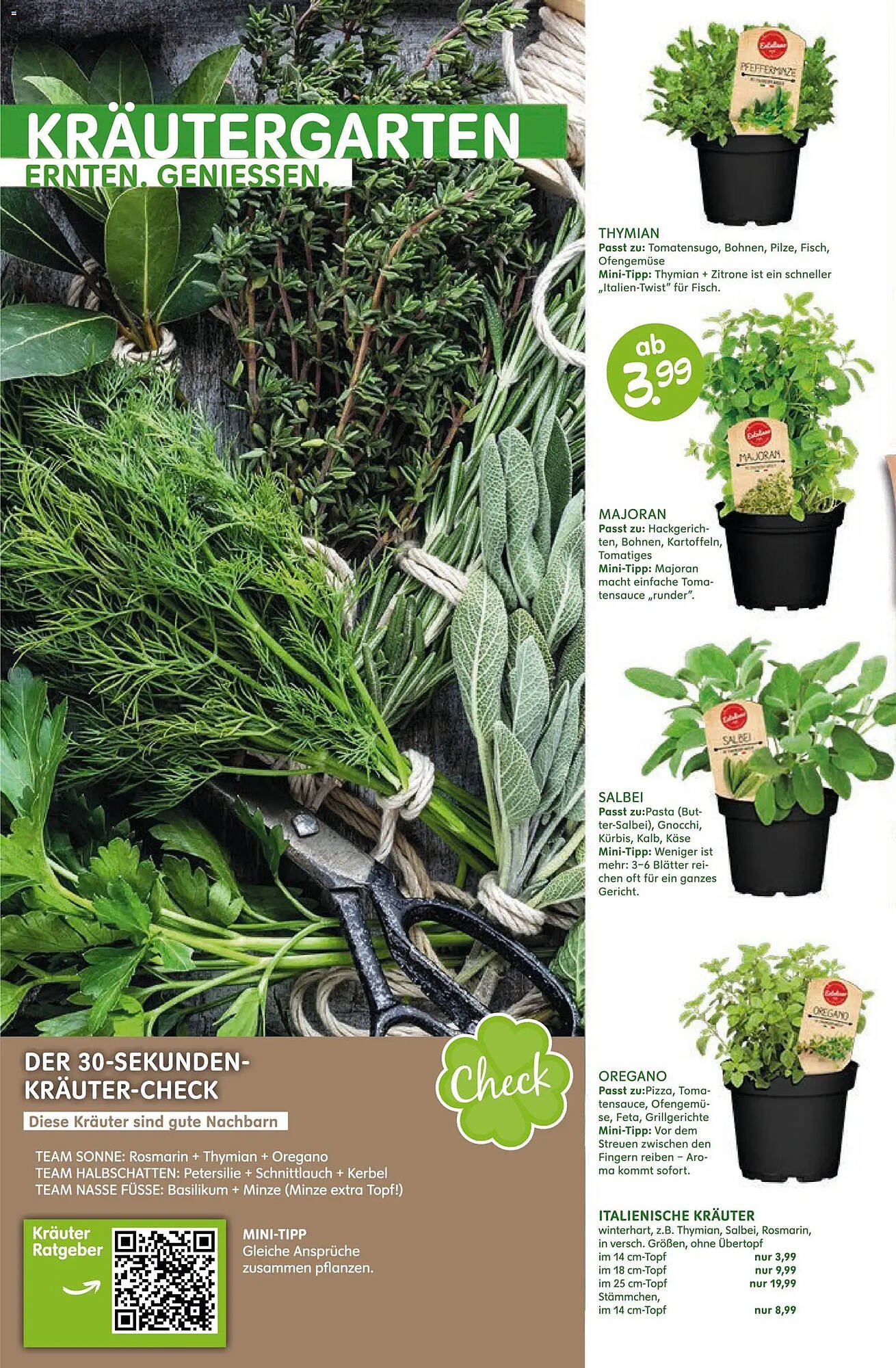 Blumen Risse Prospekt (2026-03-12 - 2026-03-22)