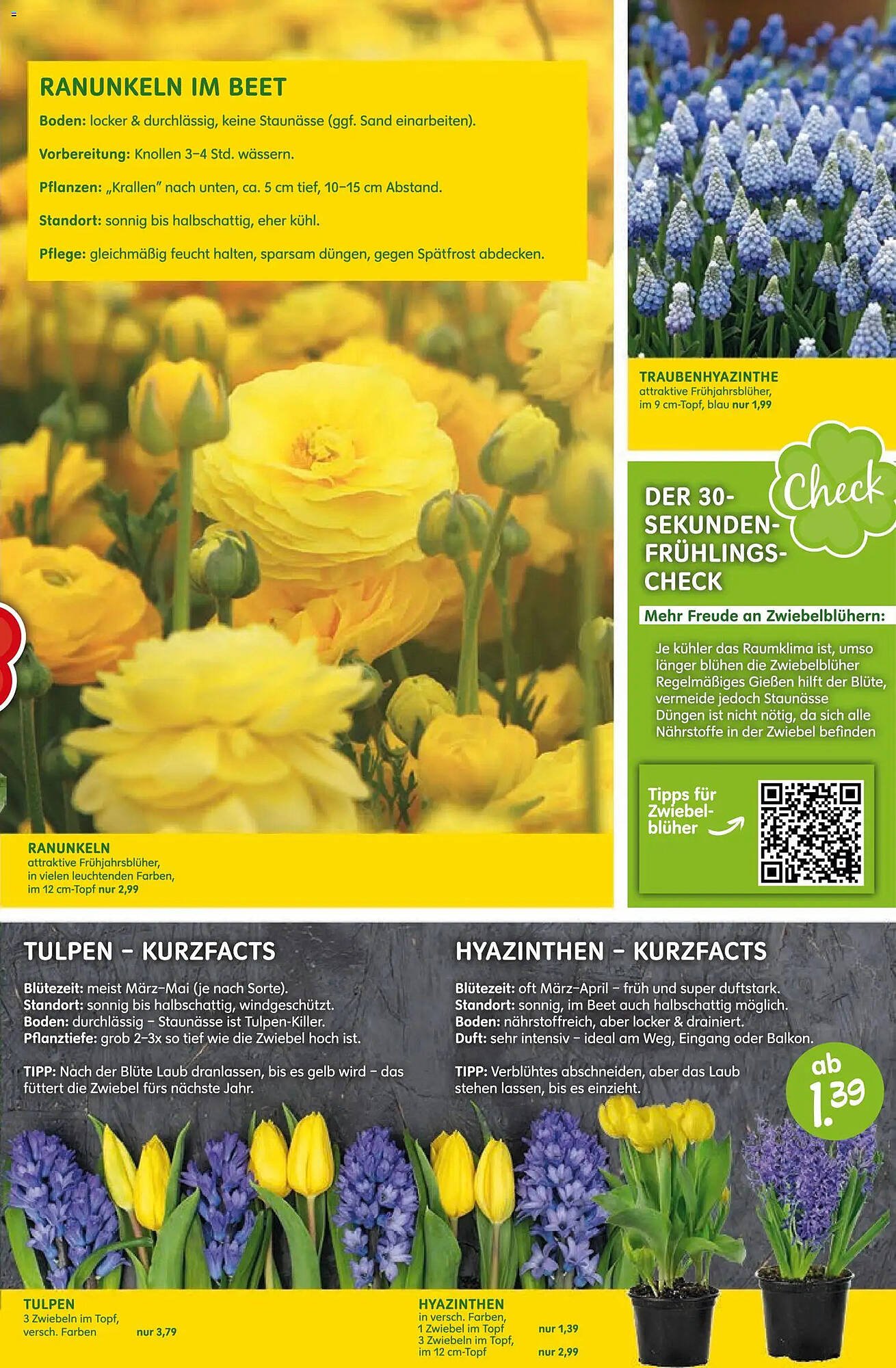 Blumen Risse Prospekt (2026-03-12 - 2026-03-22)