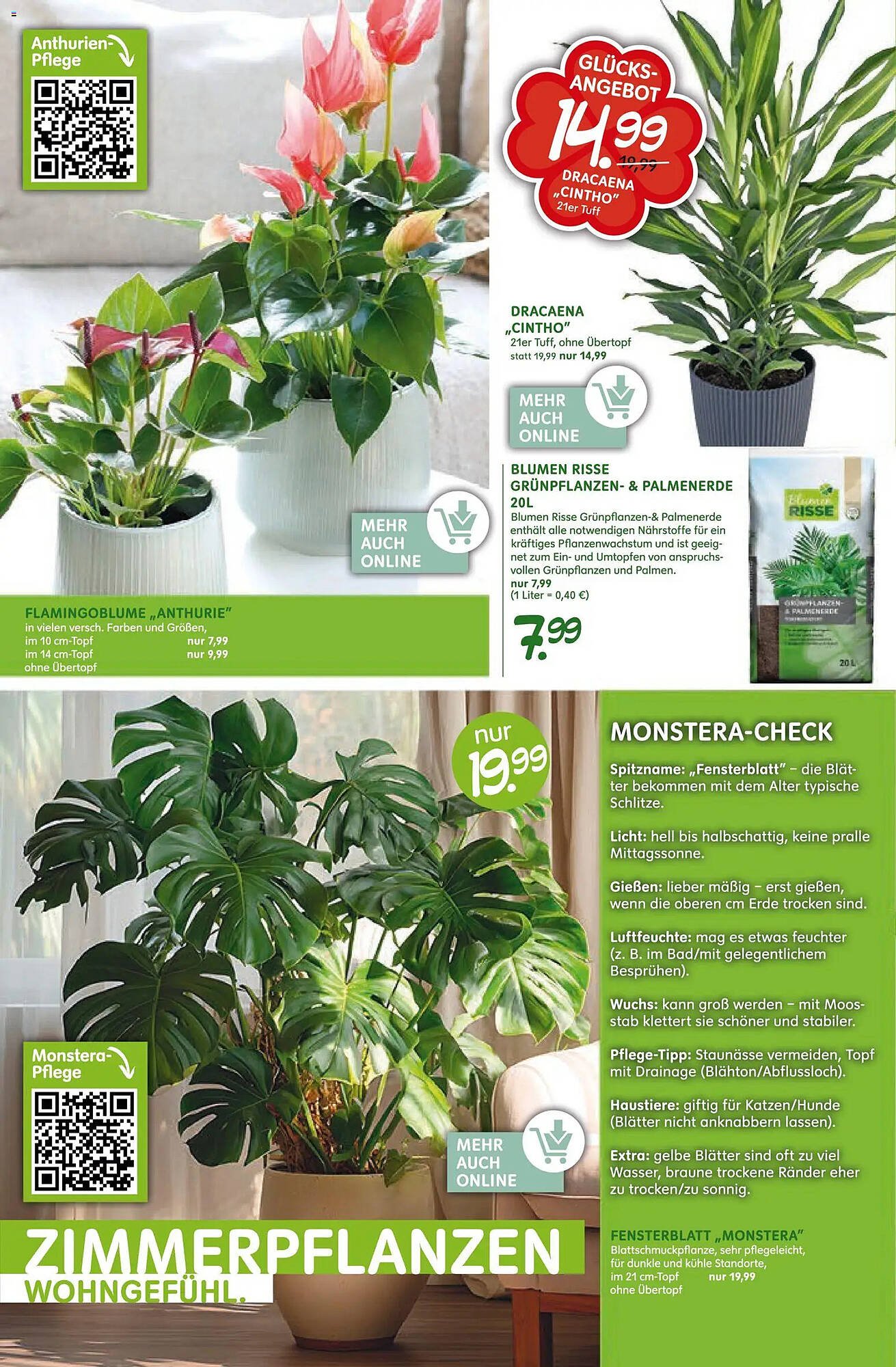 Blumen Risse Prospekt (2026-03-12 - 2026-03-22)