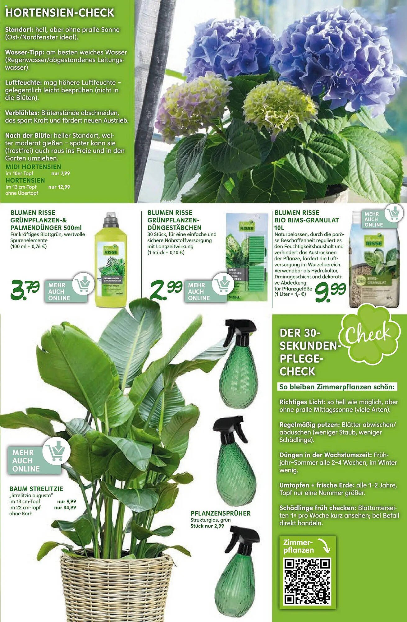 Blumen Risse Prospekt (2026-03-12 - 2026-03-22)