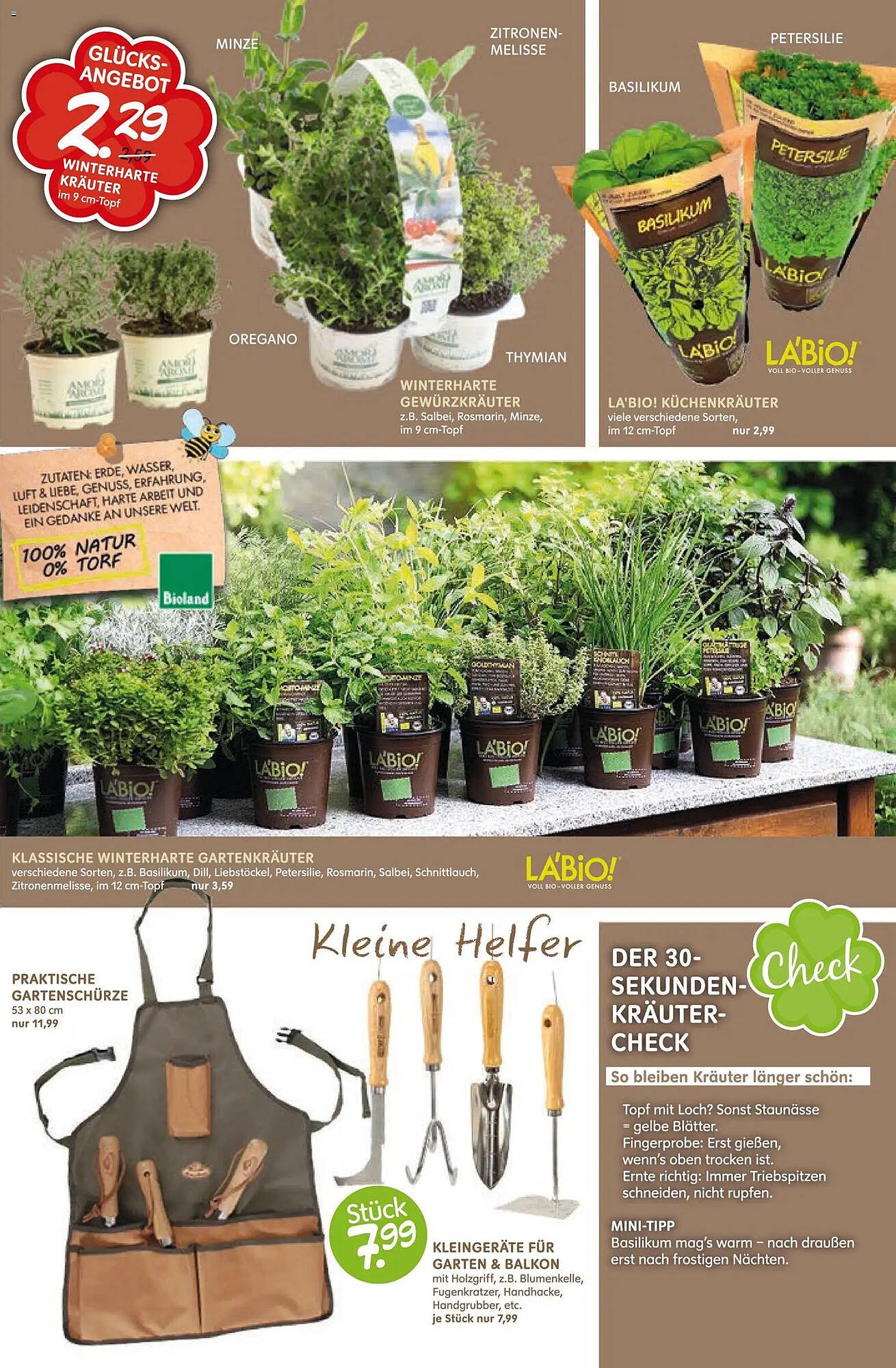 Blumen Risse Prospekt (2026-03-12 - 2026-03-22)