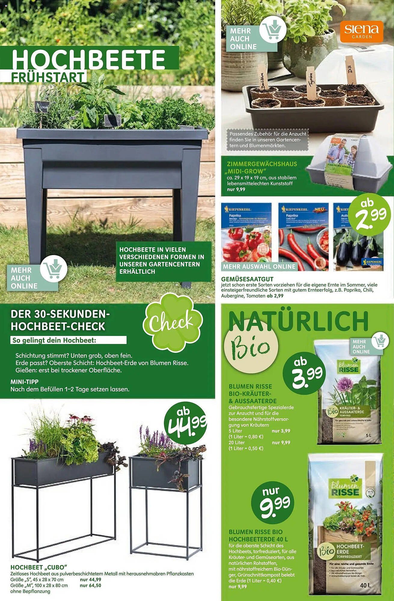 Blumen Risse Prospekt (2026-03-12 - 2026-03-22)