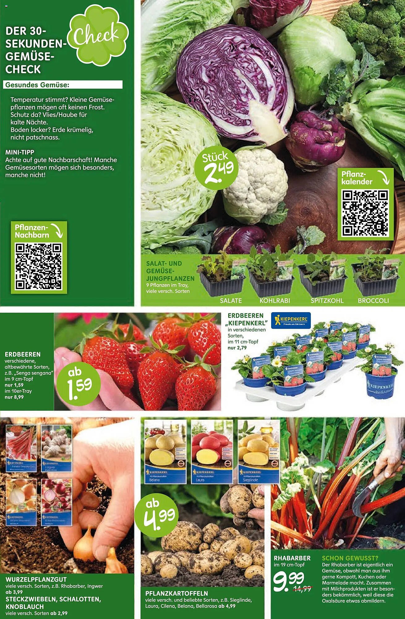 Blumen Risse Prospekt (2026-03-12 - 2026-03-22)