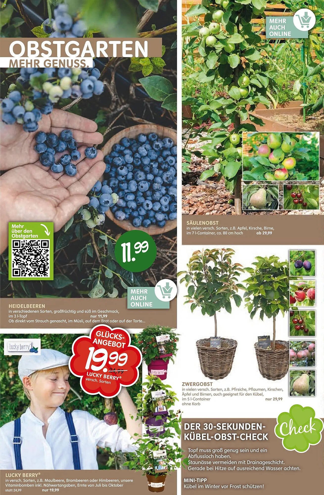 Blumen Risse Prospekt (2026-03-12 - 2026-03-22)