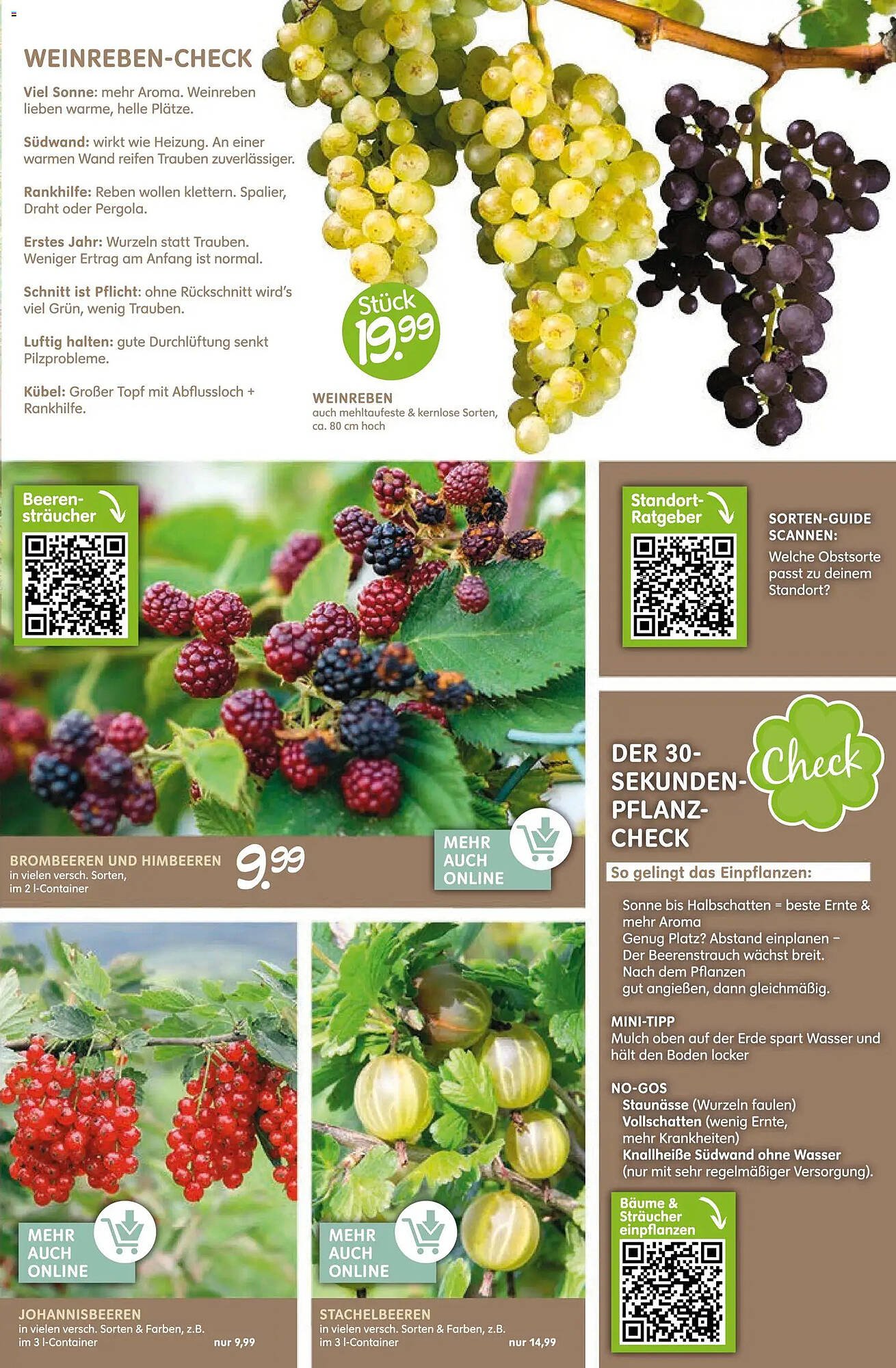 Blumen Risse Prospekt (2026-03-12 - 2026-03-22)