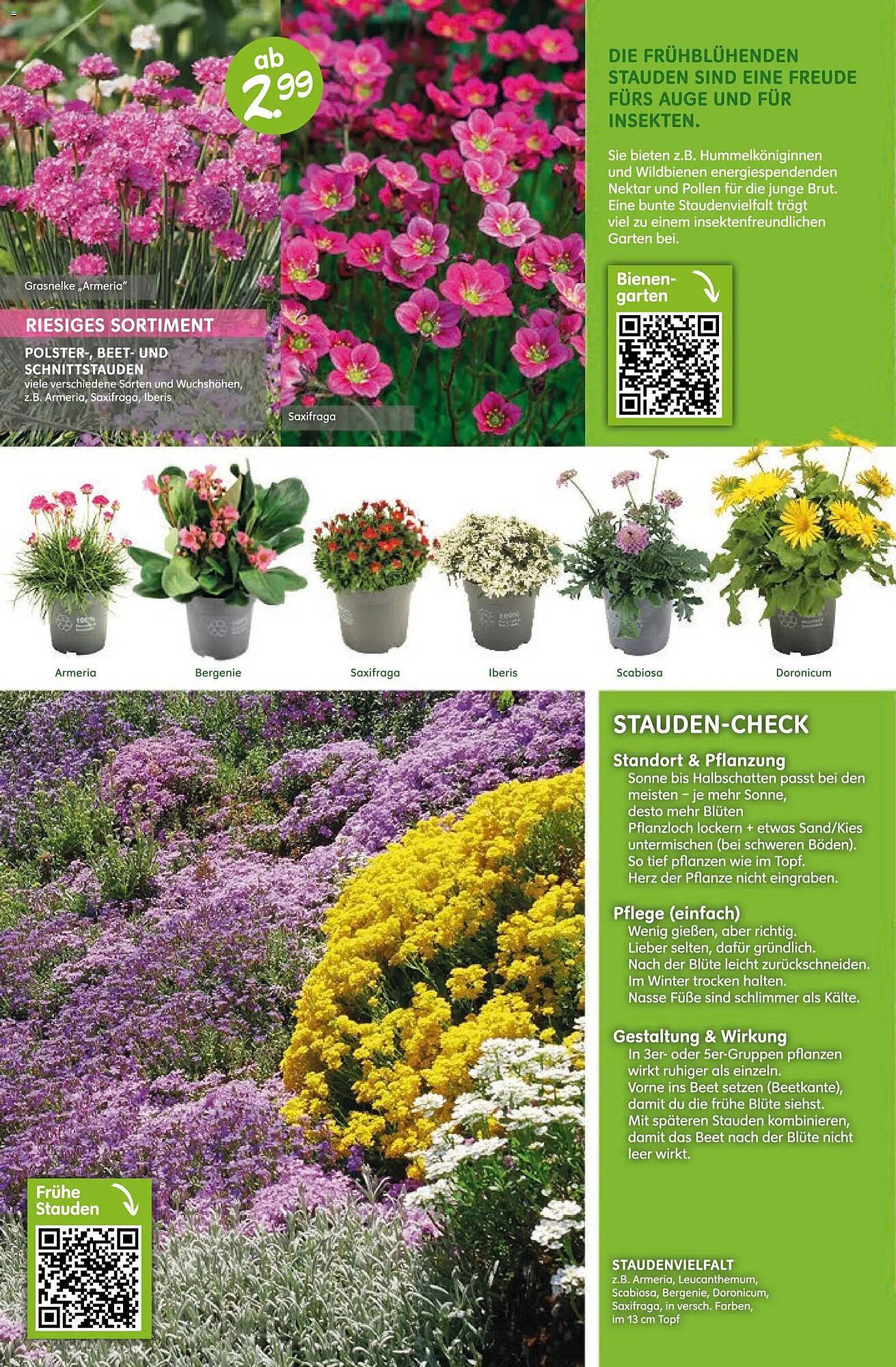 Blumen Risse Prospekt (2026-03-12 - 2026-03-22)