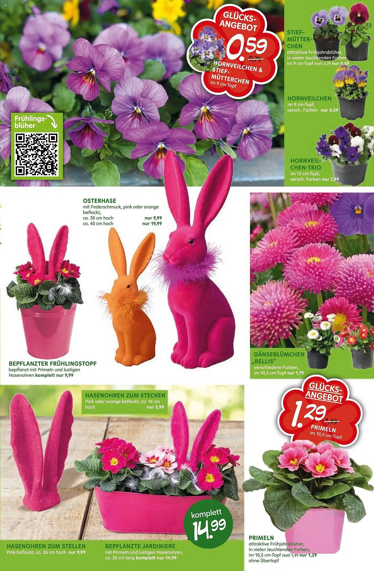 Blumen Risse Prospekt (2026-03-12 - 2026-03-22)