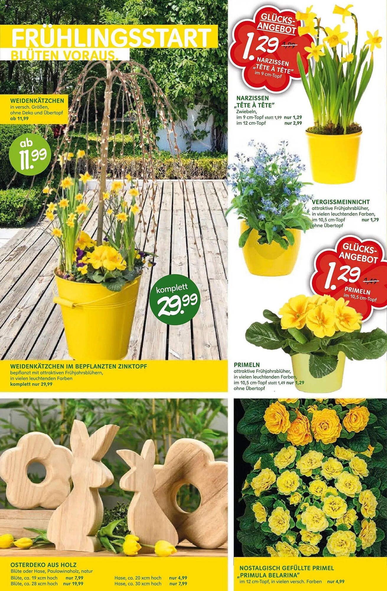 Blumen Risse Prospekt (2026-03-12 - 2026-03-22)