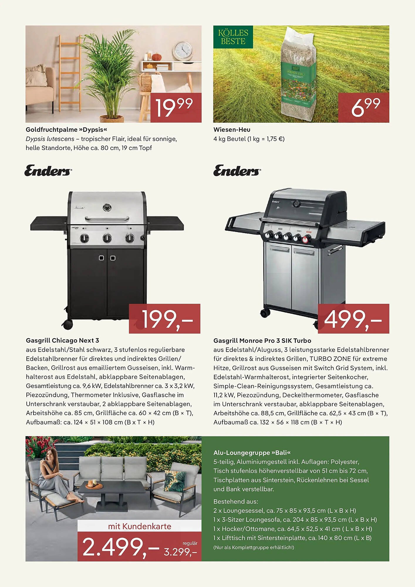 Pflanzen Kölle Prospekt (2025-12-31 - 2026-01-31)