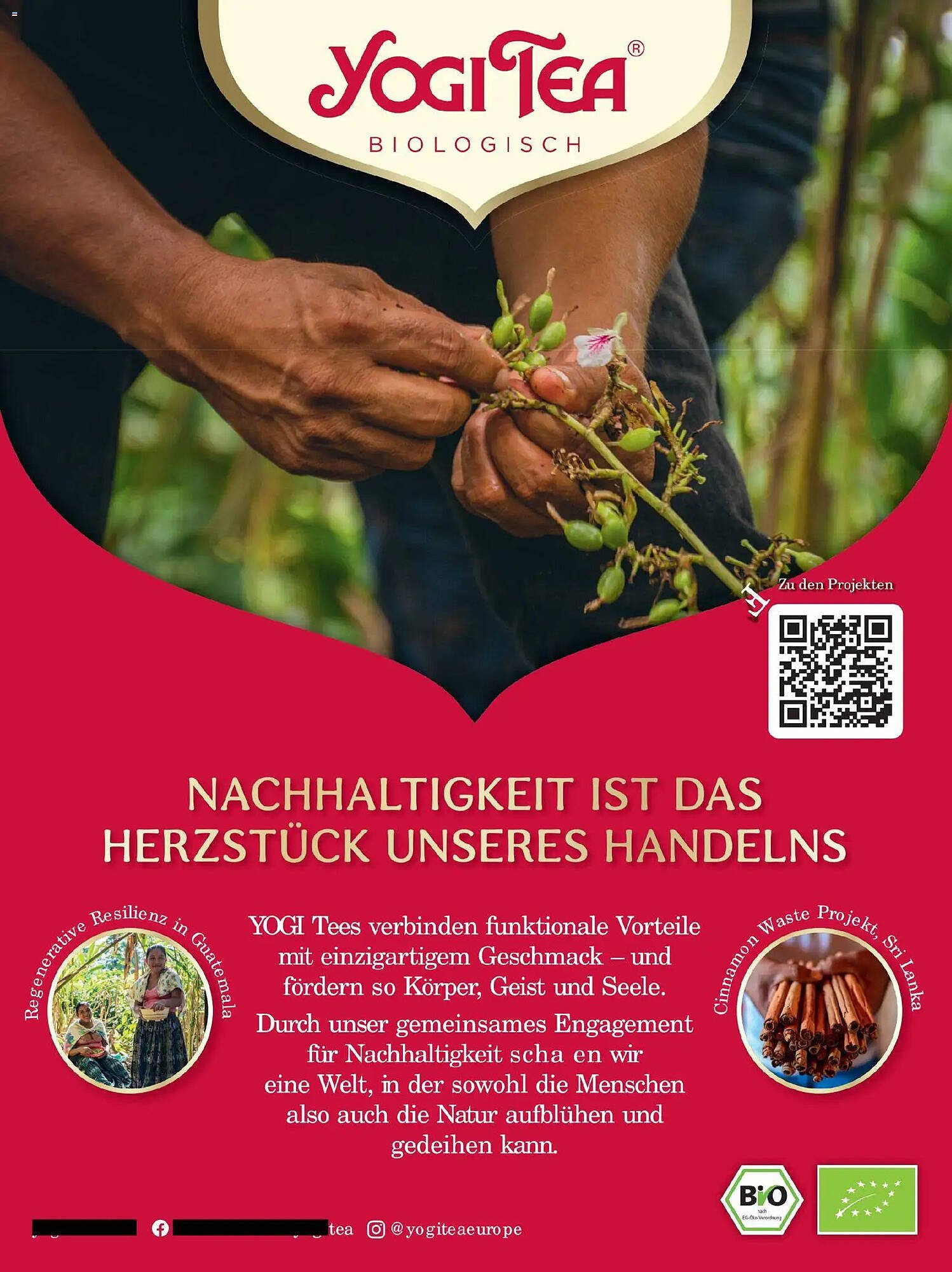 Budni Prospekt (2025-11-01 - 2025-12-31)