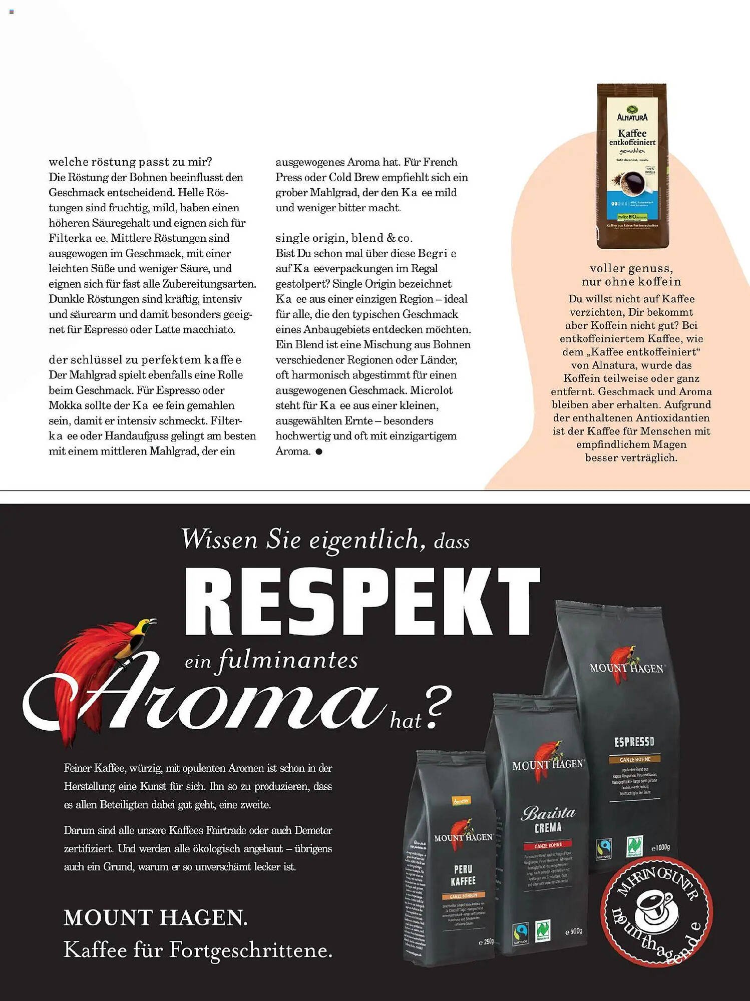 Budni Prospekt (2025-11-01 - 2025-12-31)