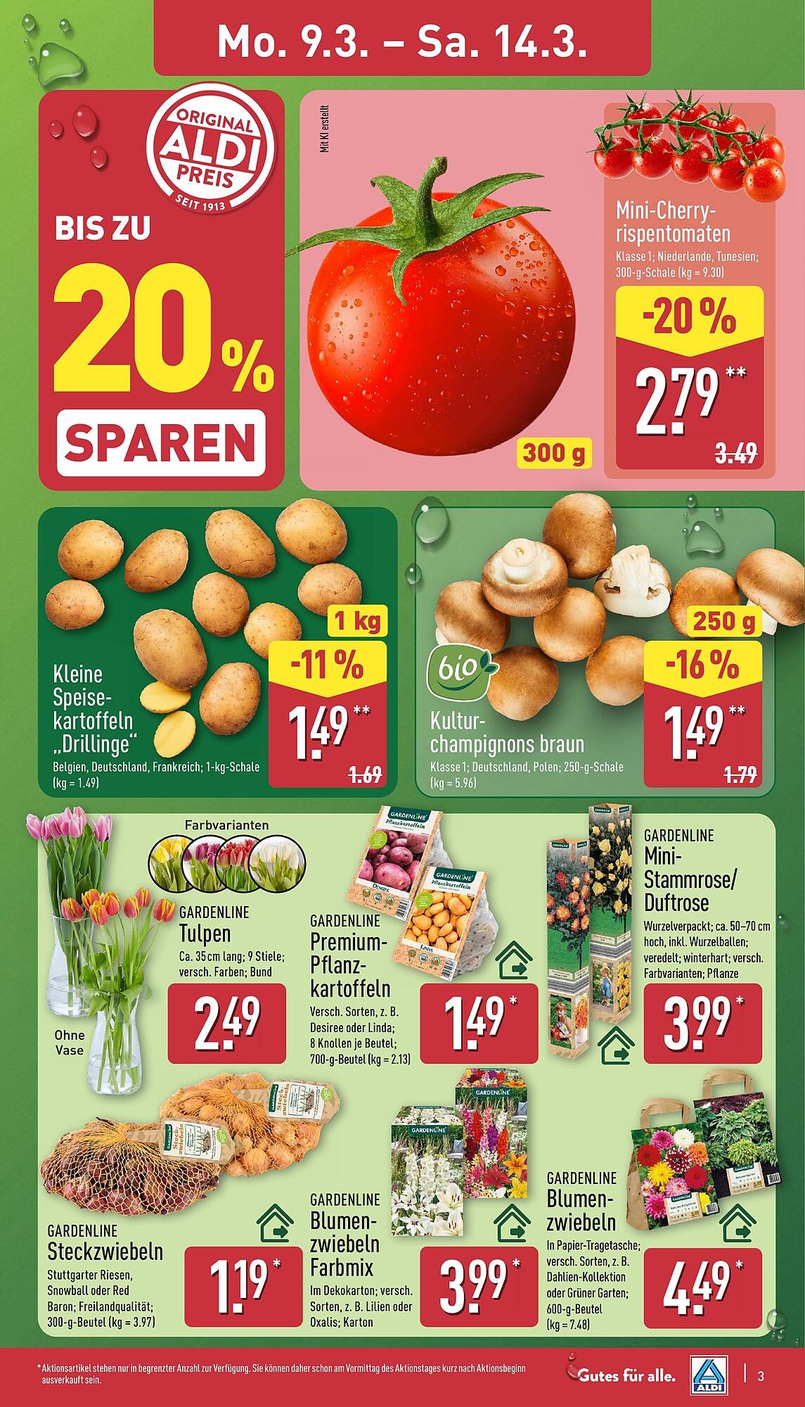 Aldi Nord Prospekt (2026-03-09 - 2026-03-14)