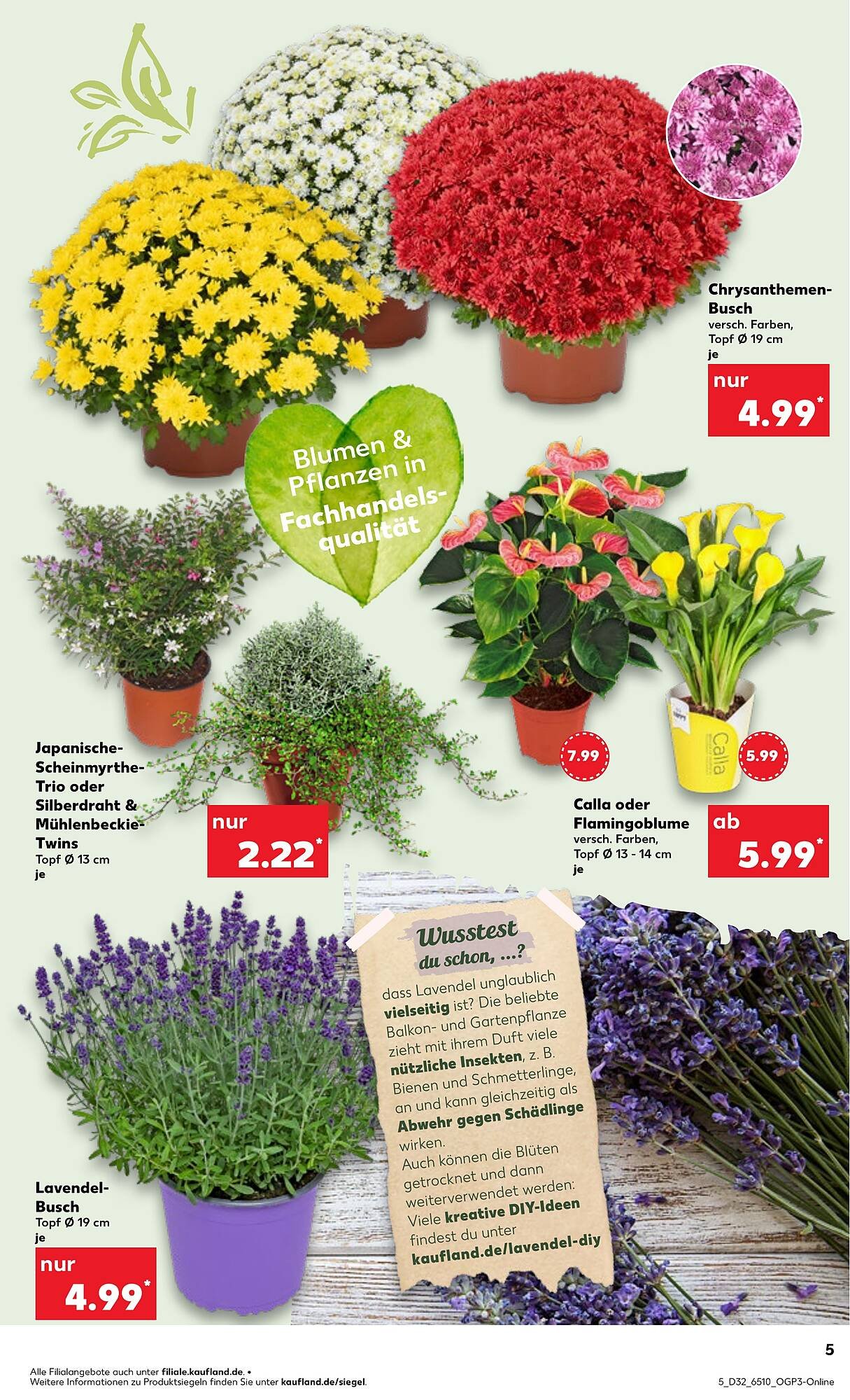 Kaufland Prospekt (2025-08-07 - 2025-08-13)