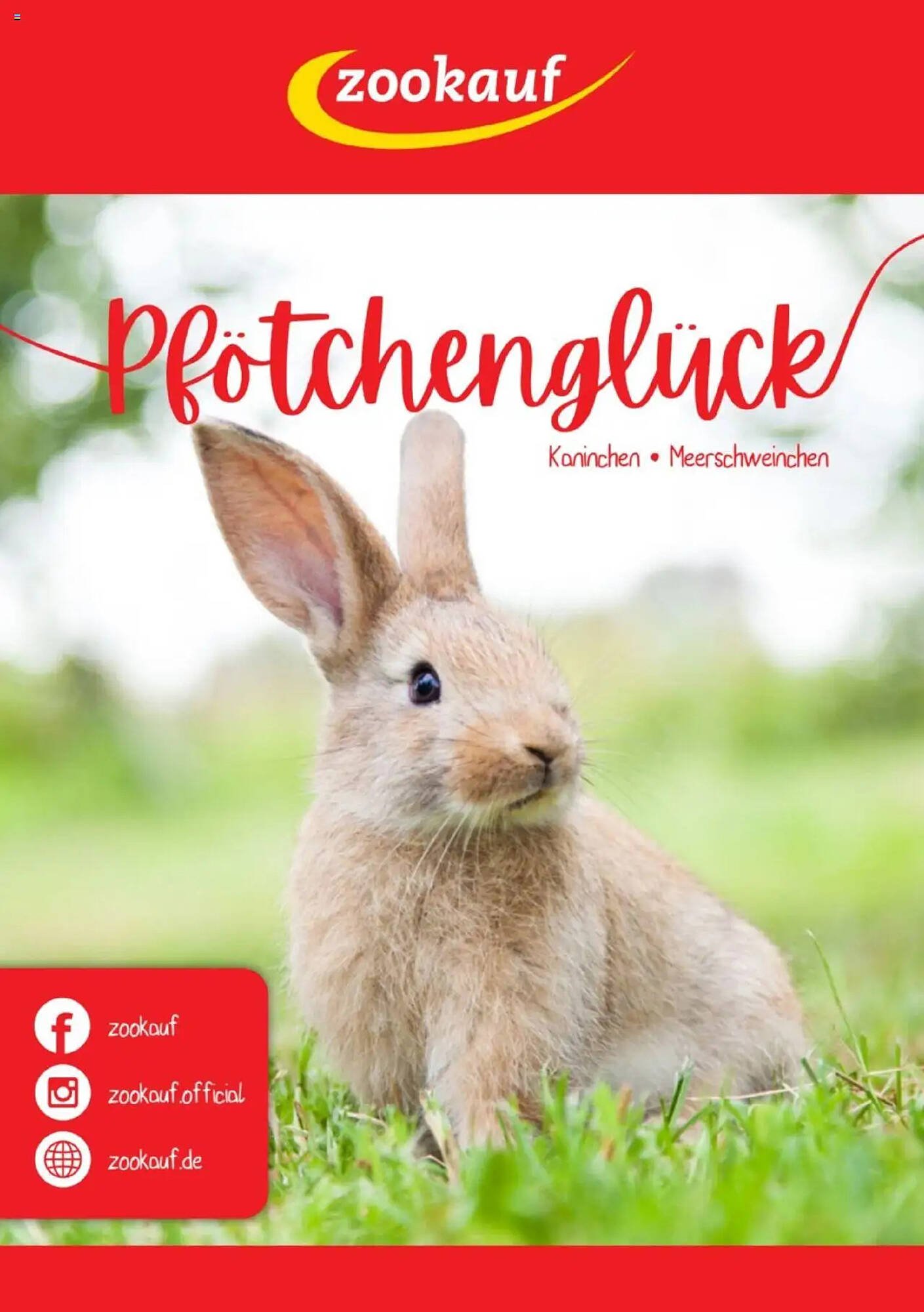 Zookauf Prospekt