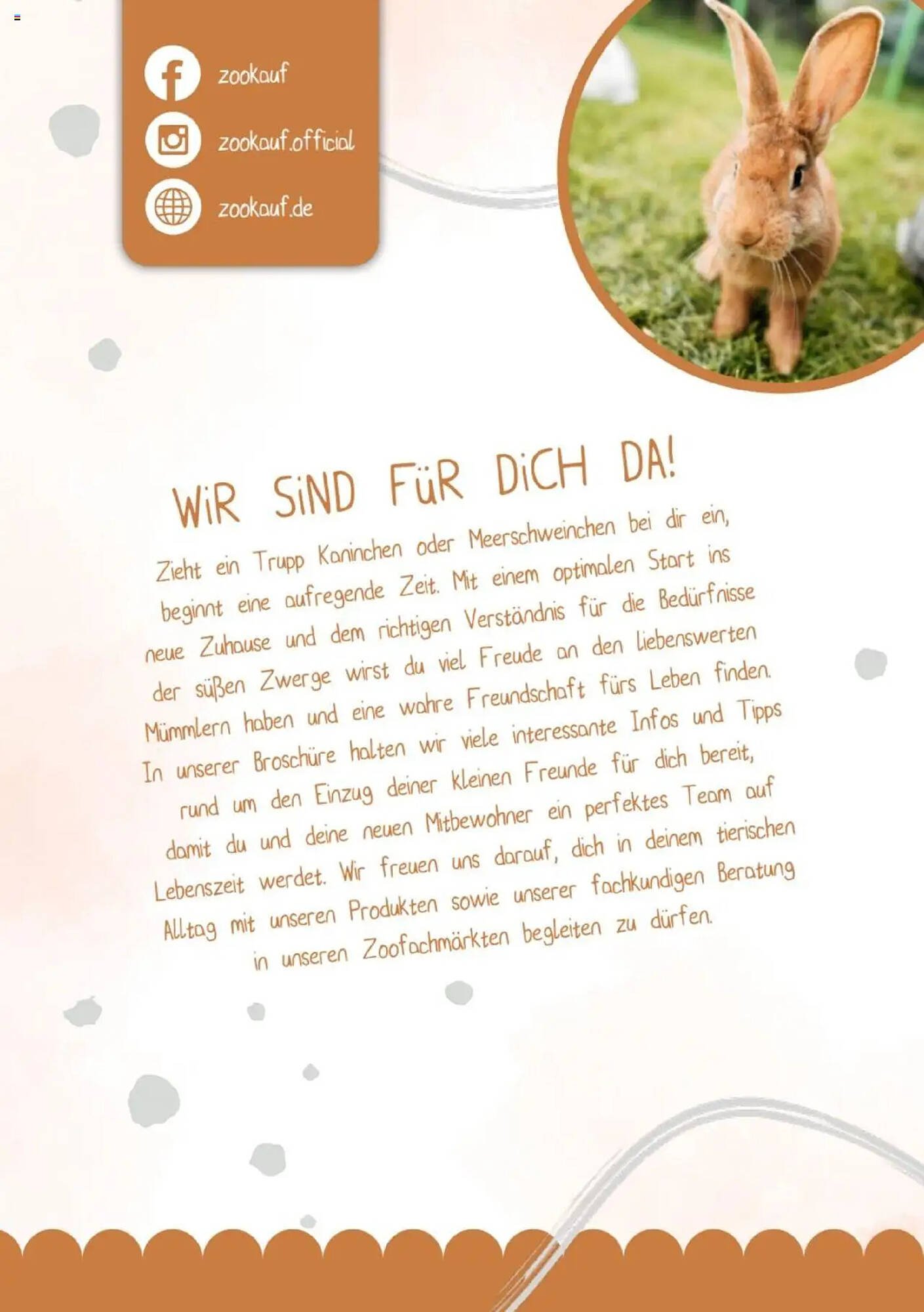 Zookauf Prospekt