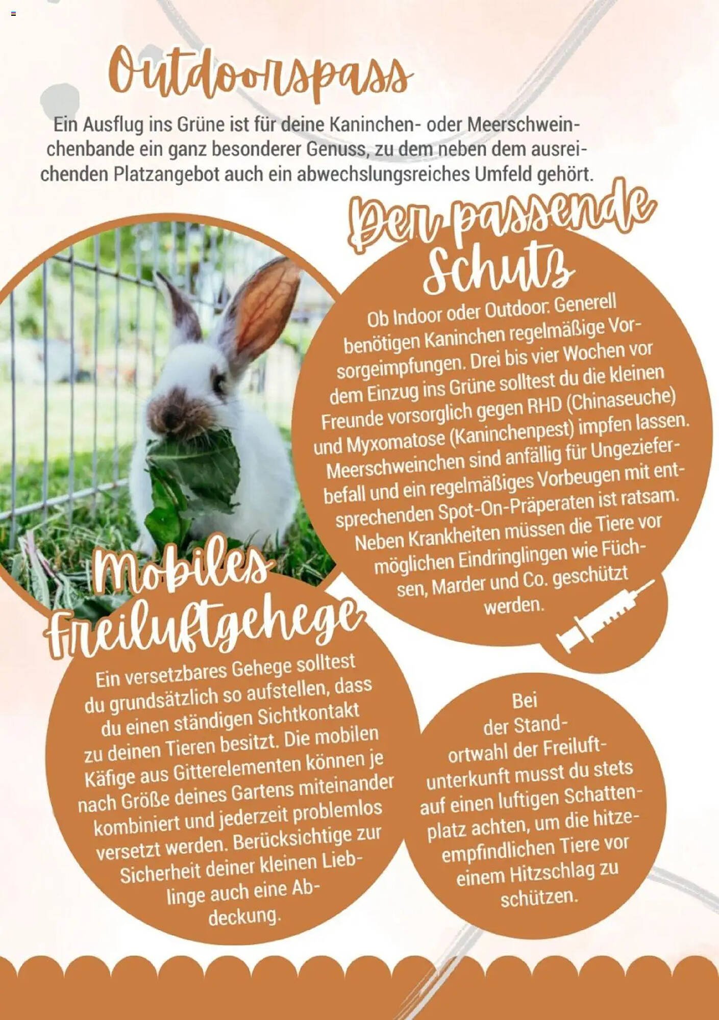 Zookauf Prospekt