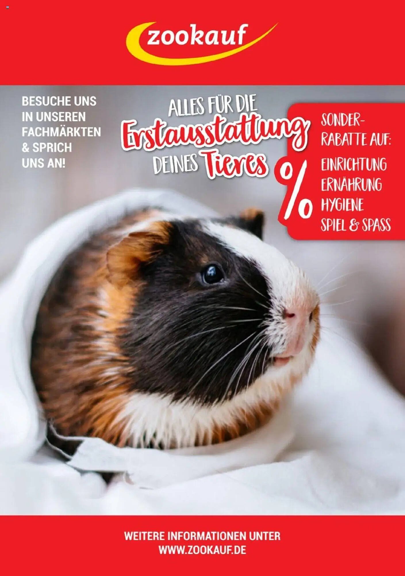 Zookauf Prospekt