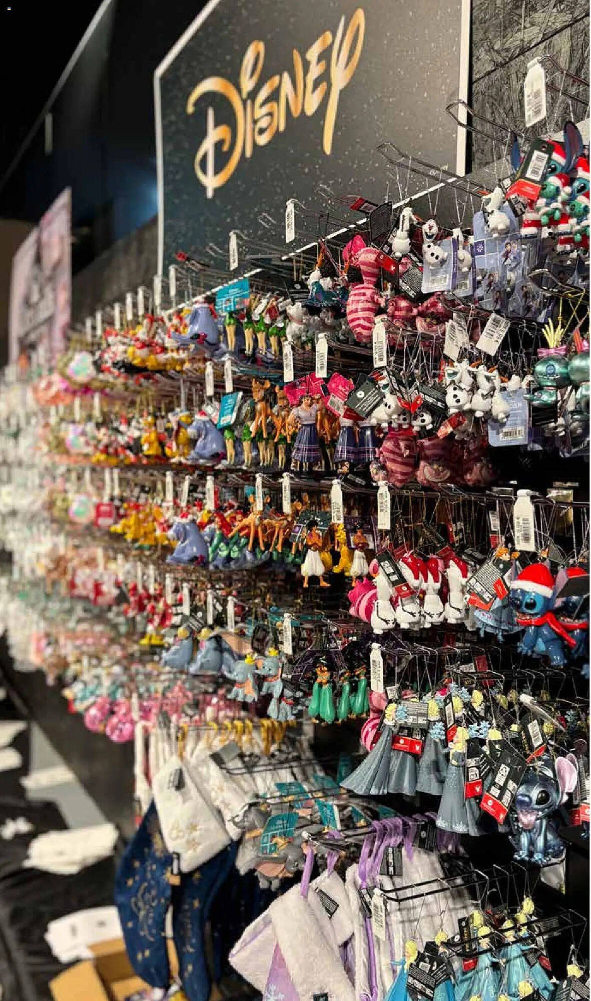 Pflanzen Kölle Prospekt