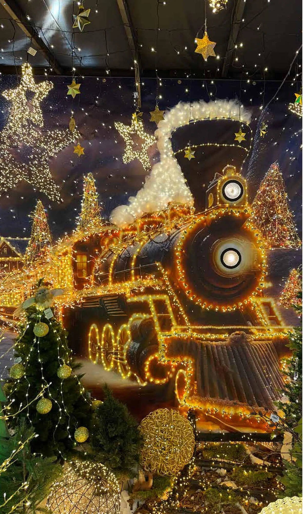 Pflanzen Kölle Prospekt