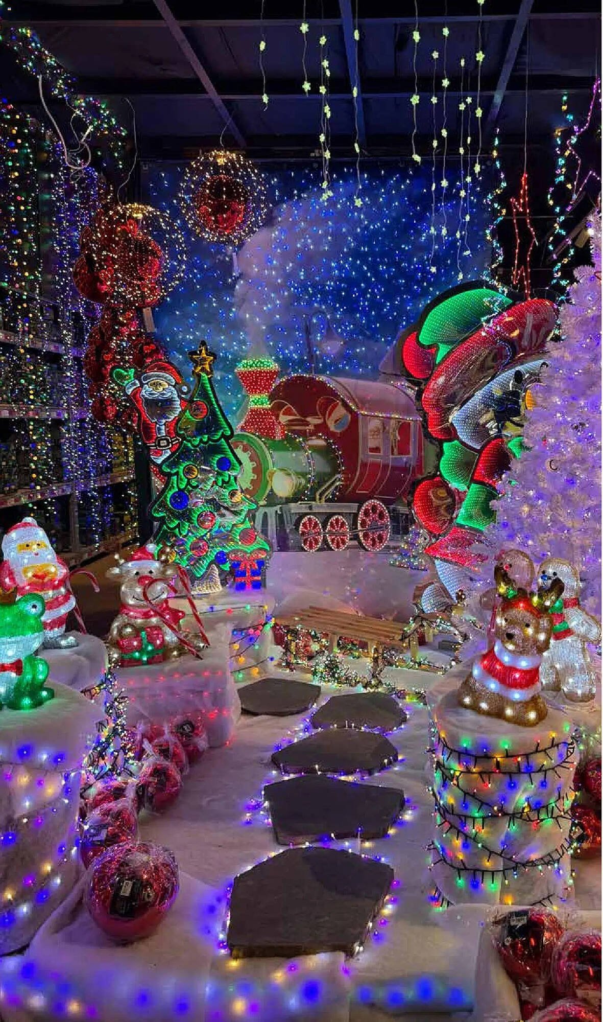 Pflanzen Kölle Prospekt