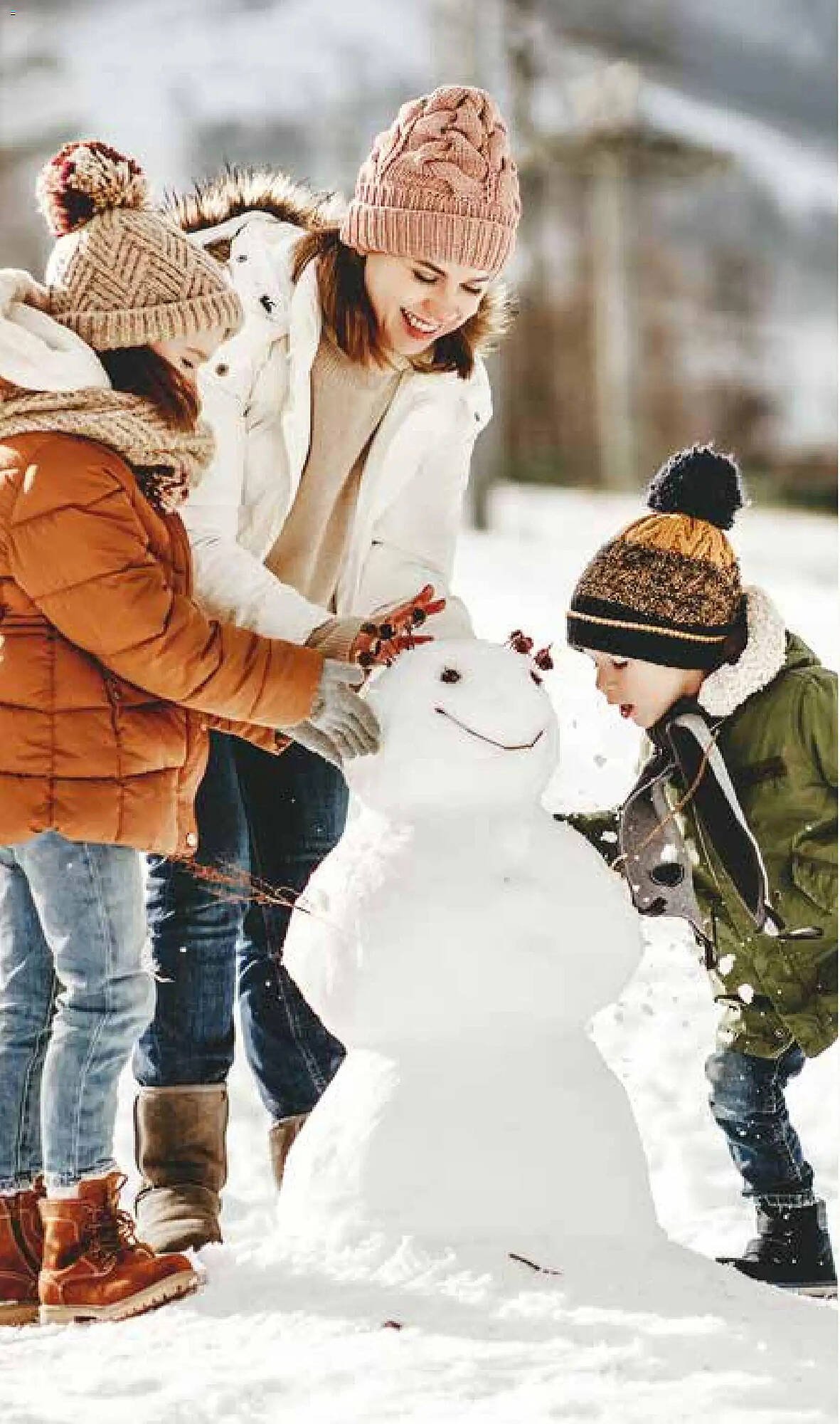 Pflanzen Kölle Prospekt