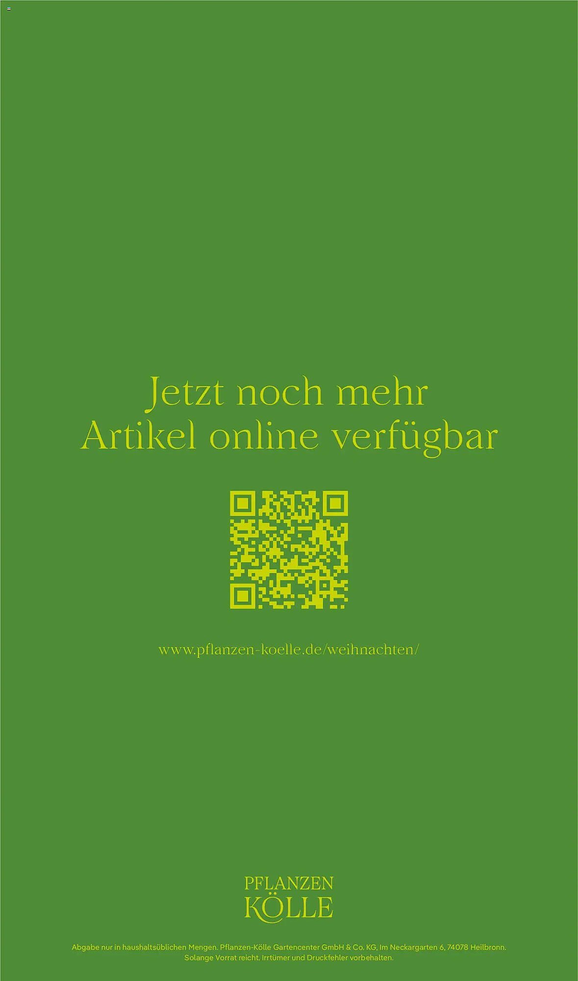 Pflanzen Kölle Prospekt