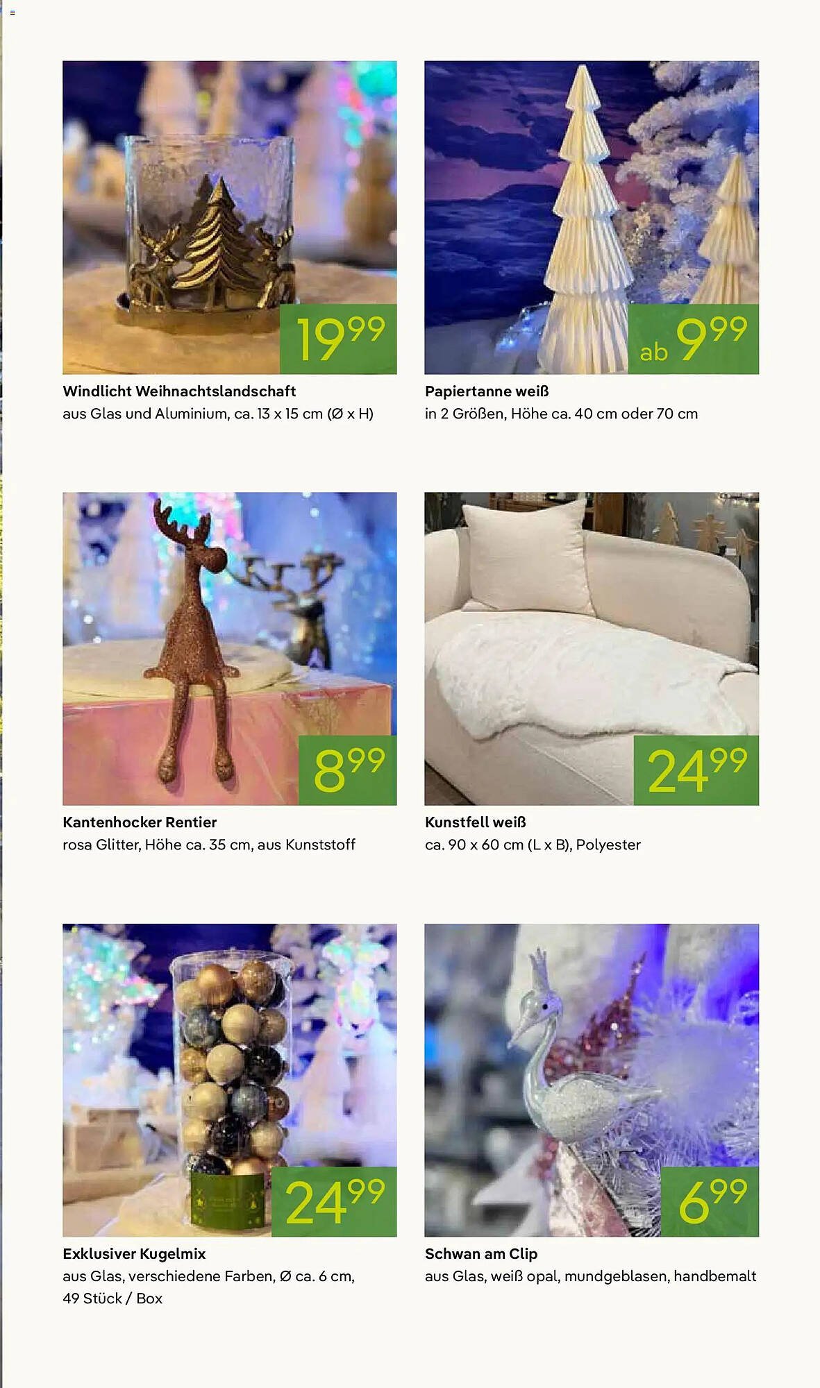 Pflanzen Kölle Prospekt