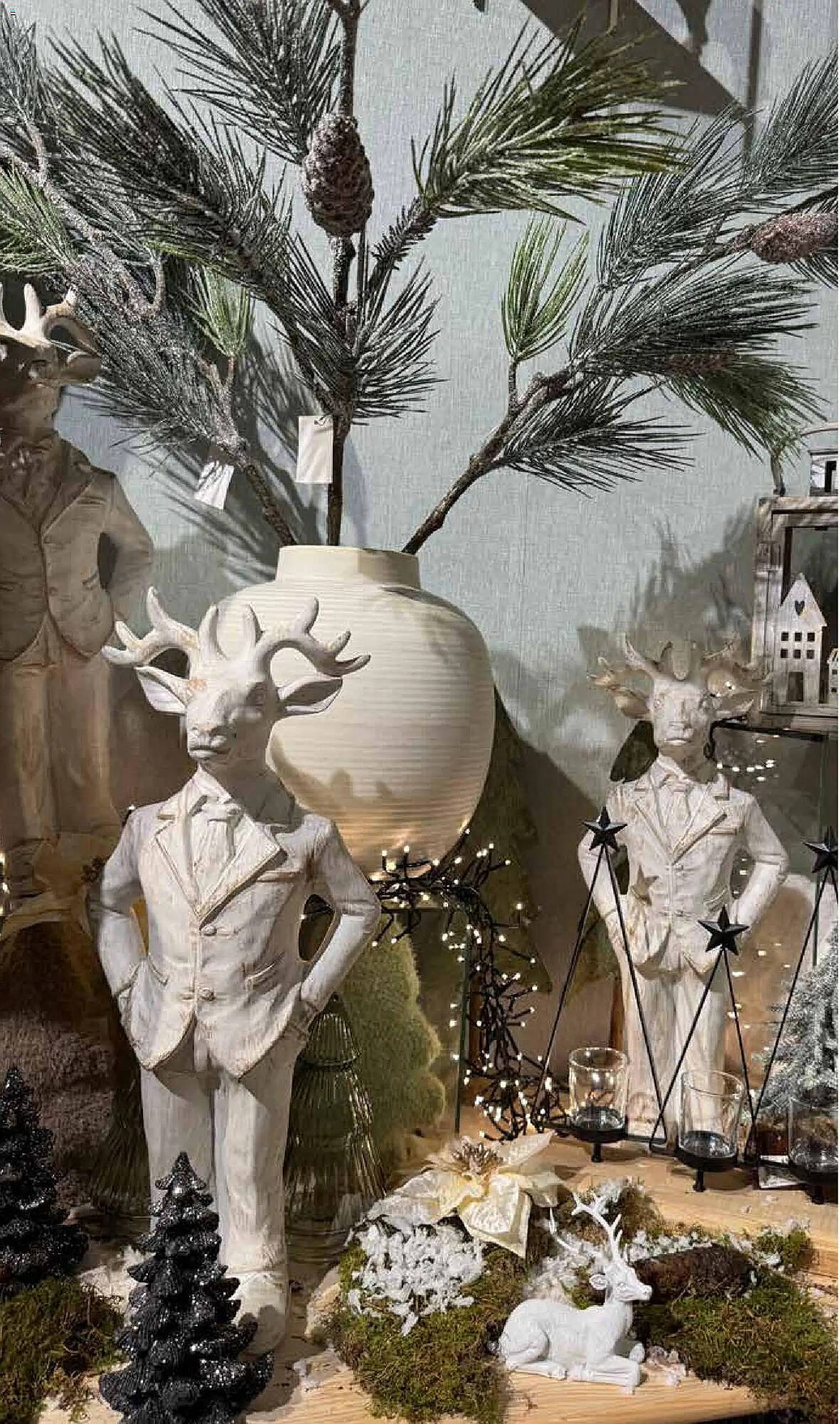 Pflanzen Kölle Prospekt