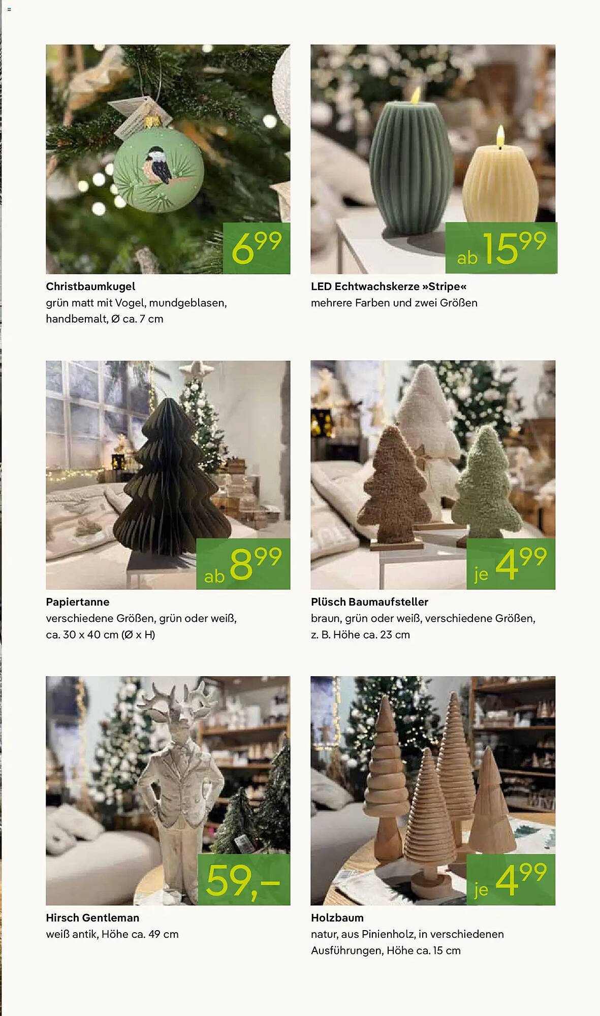 Pflanzen Kölle Prospekt