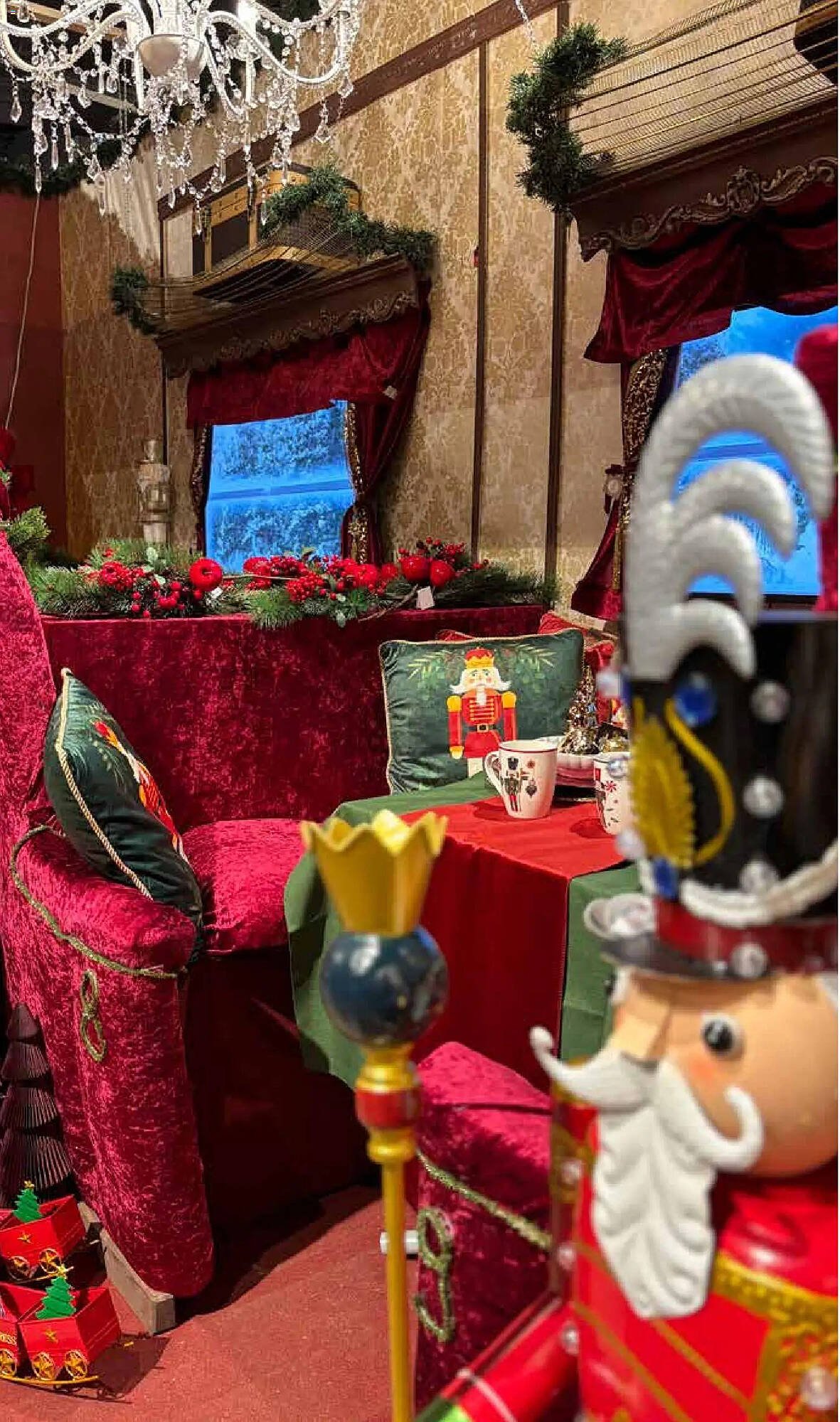 Pflanzen Kölle Prospekt