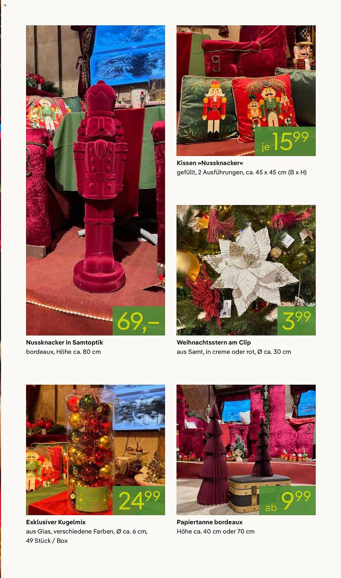 Pflanzen Kölle Prospekt