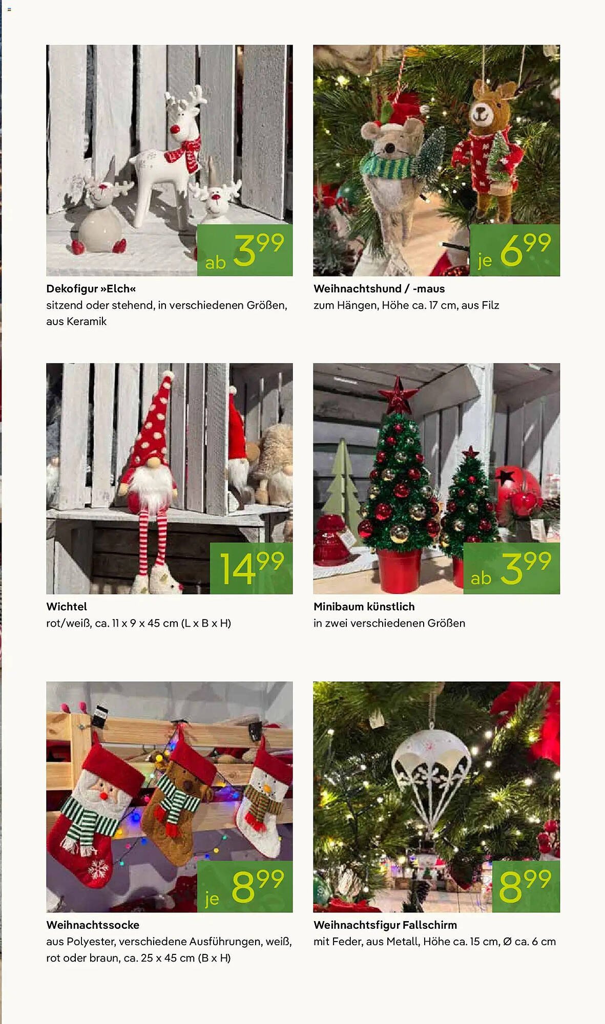 Pflanzen Kölle Prospekt