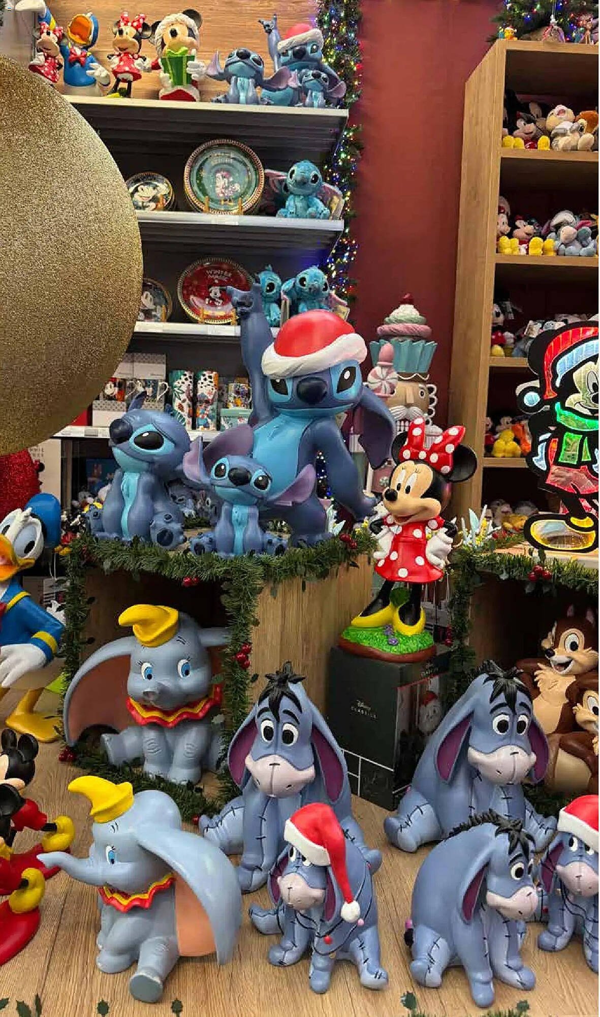 Pflanzen Kölle Prospekt