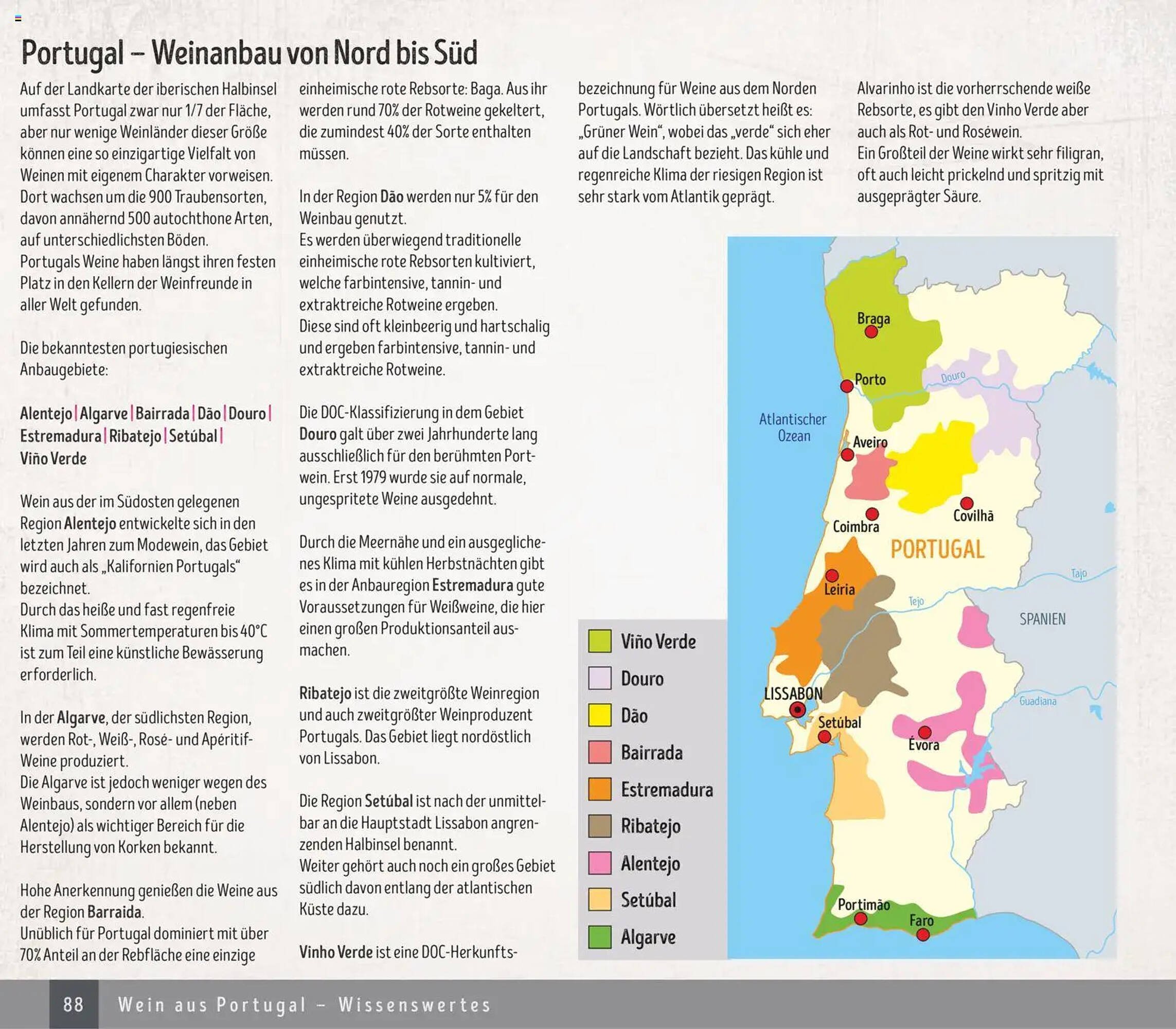 Edeka Struve Prospekt (2025-11-14 - 2026-03-31)