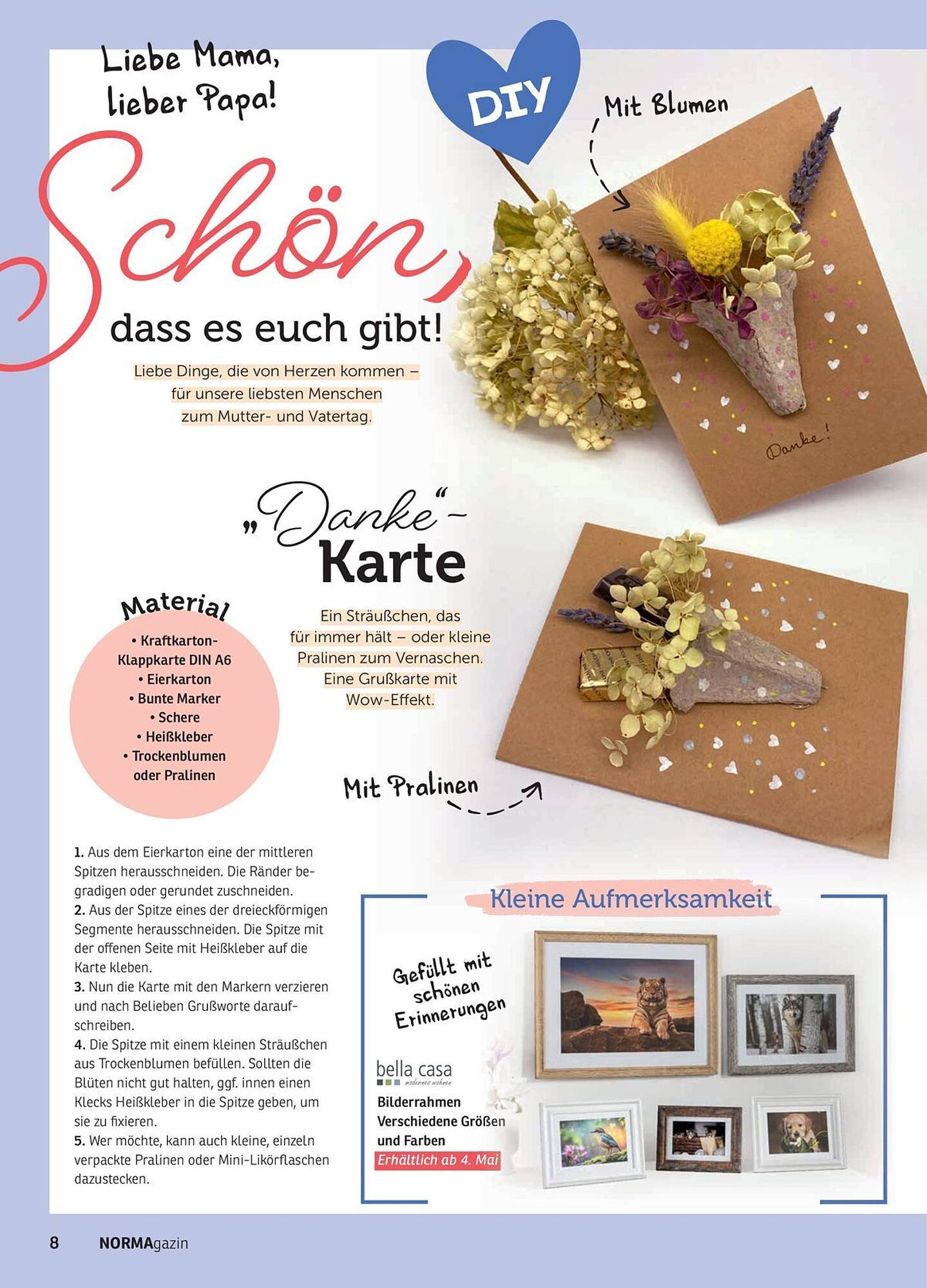Norma Magazin (2026-05-01 - 2026-06-30)