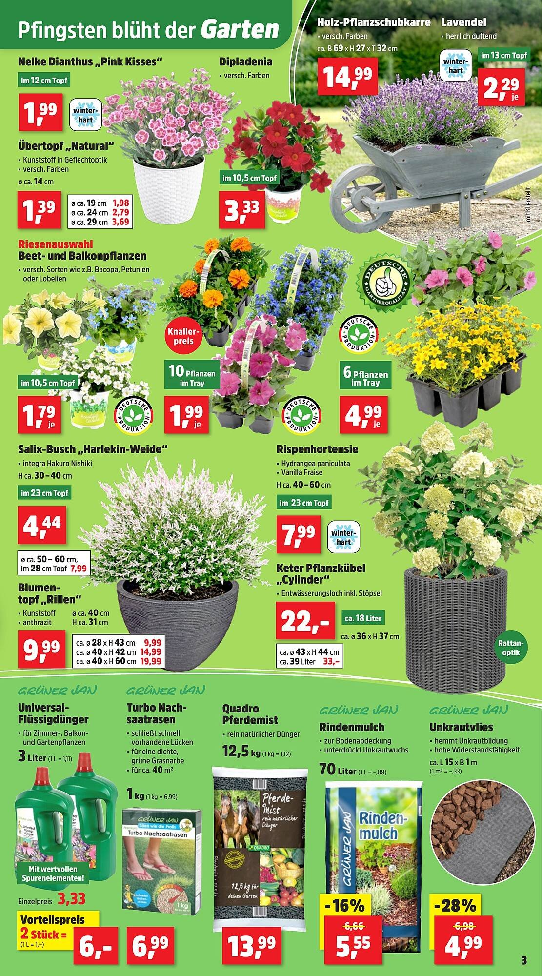 Thomas Philipps Prospekt (2026-05-18 - 2026-05-23)