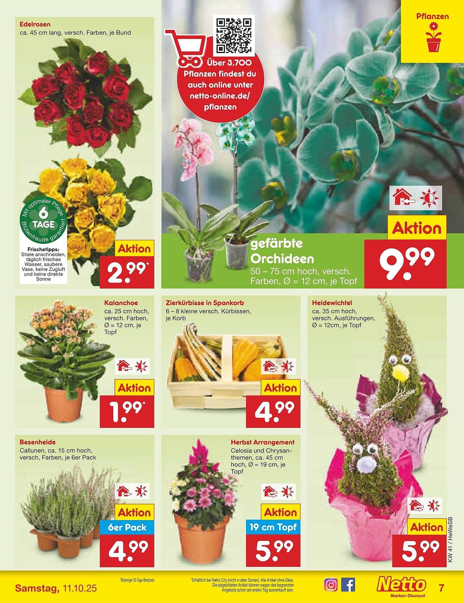 Netto Marken-Discount Prospekt (2025-10-06 - 2025-10-11) | 7