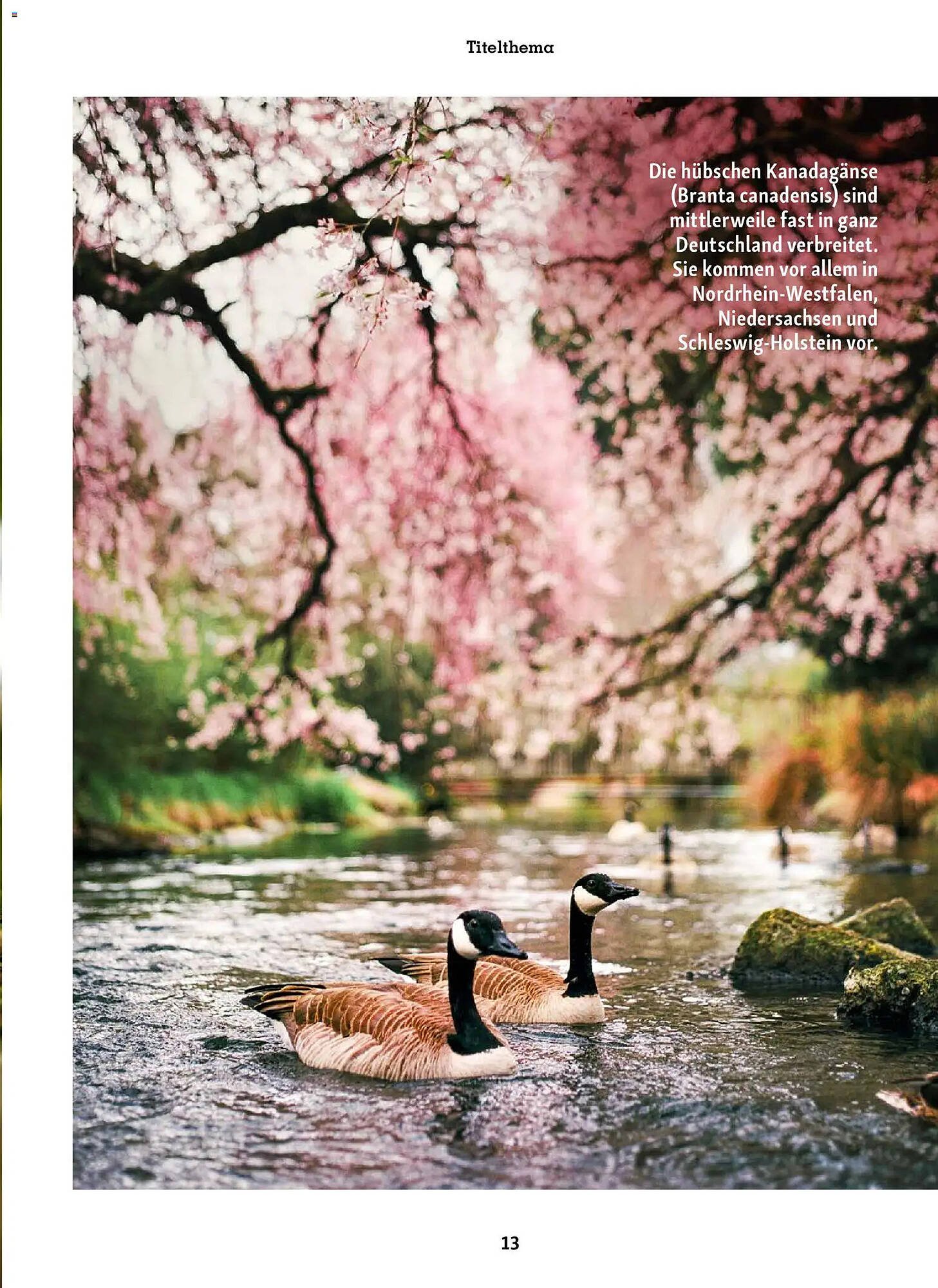 Fressnapf Magazin (2026-03-02 - 2026-04-30)