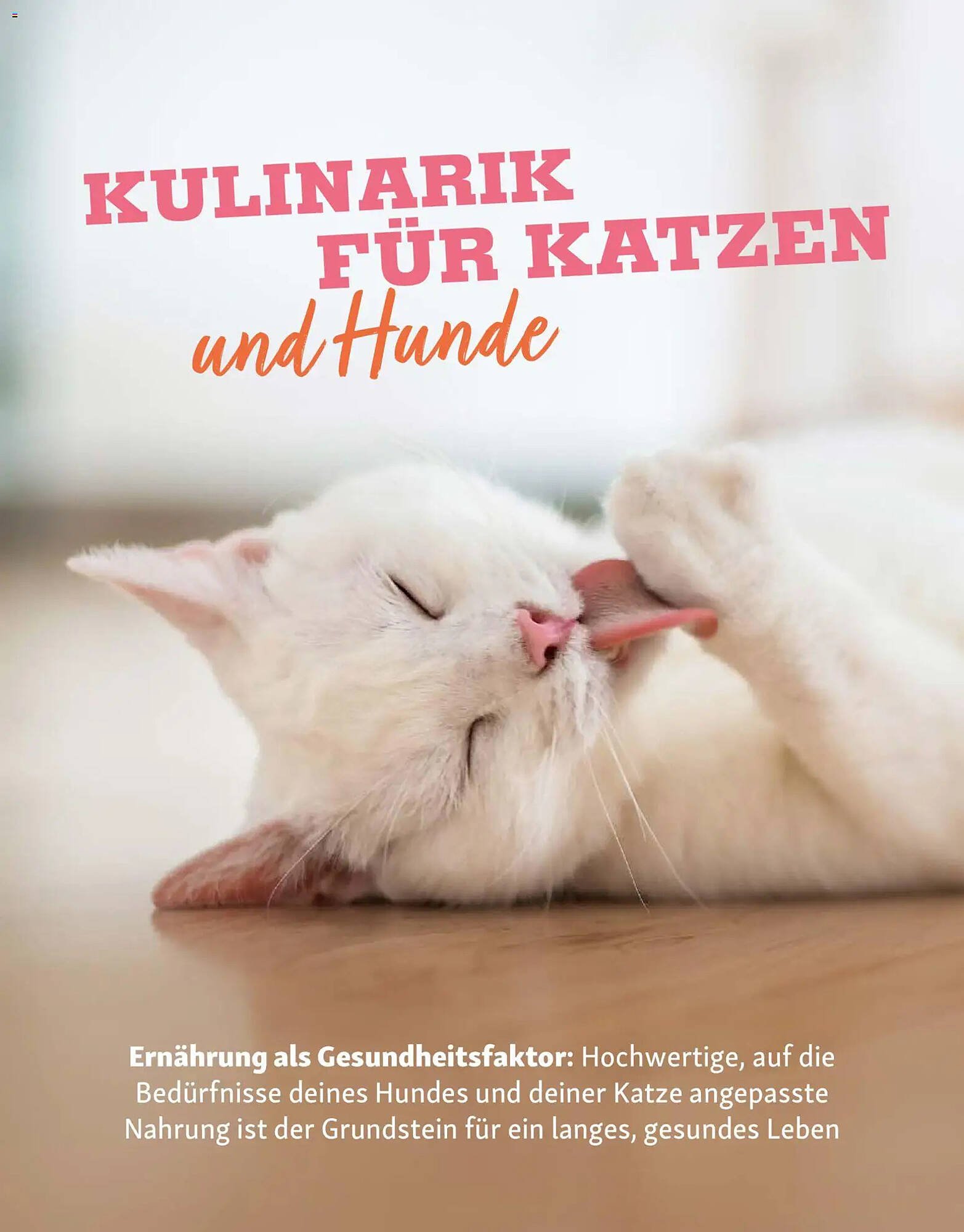 Fressnapf Magazin (2026-03-02 - 2026-04-30)