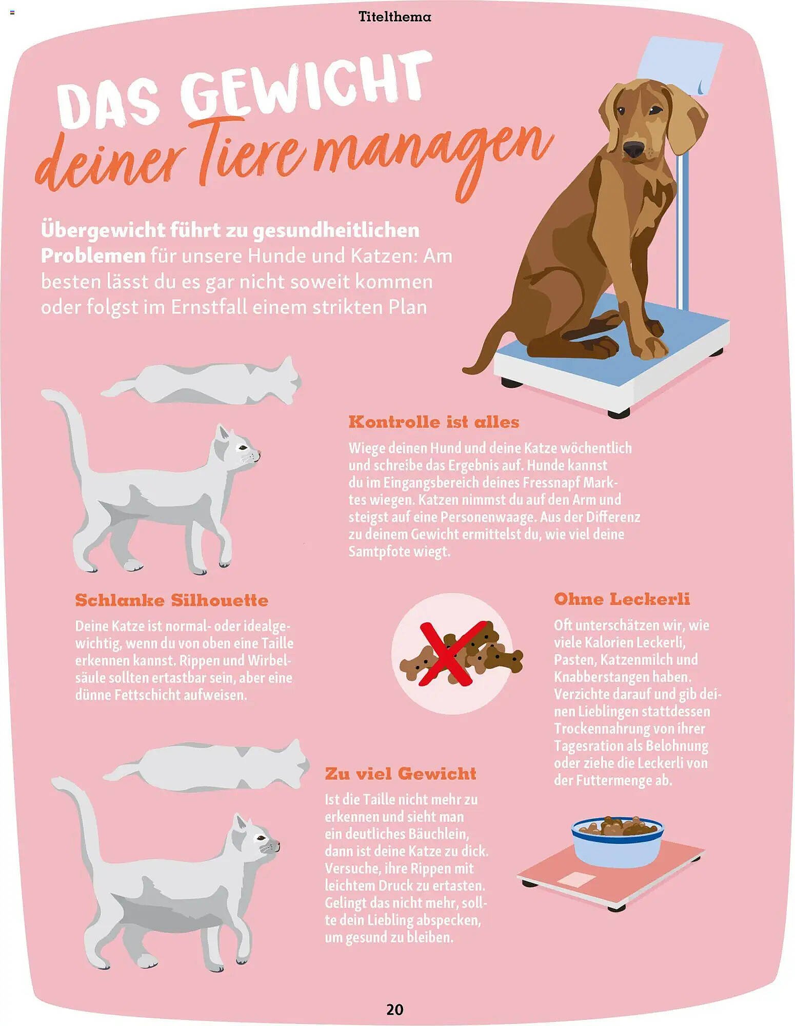 Fressnapf Magazin (2026-03-02 - 2026-04-30)