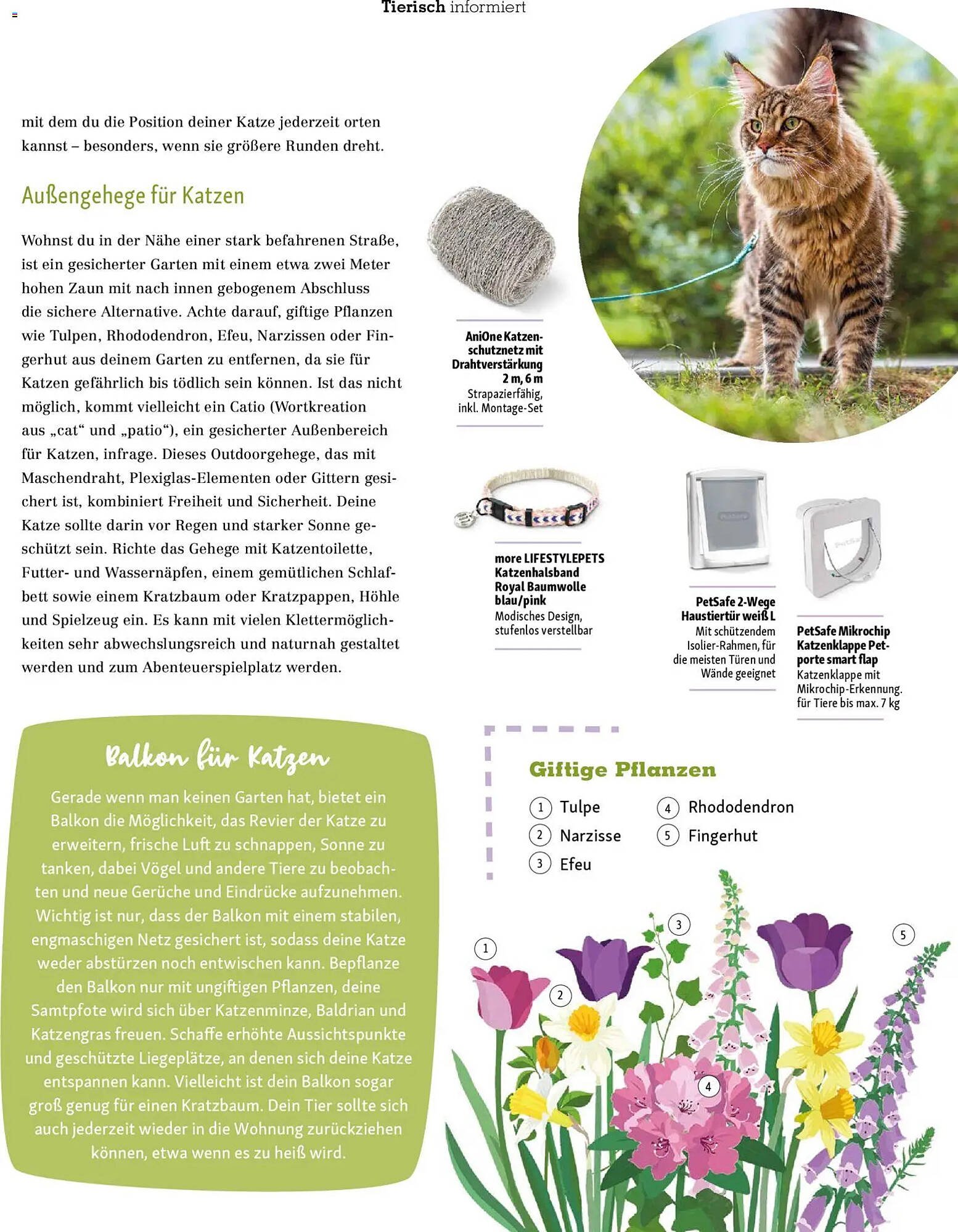 Fressnapf Magazin (2026-03-02 - 2026-04-30)