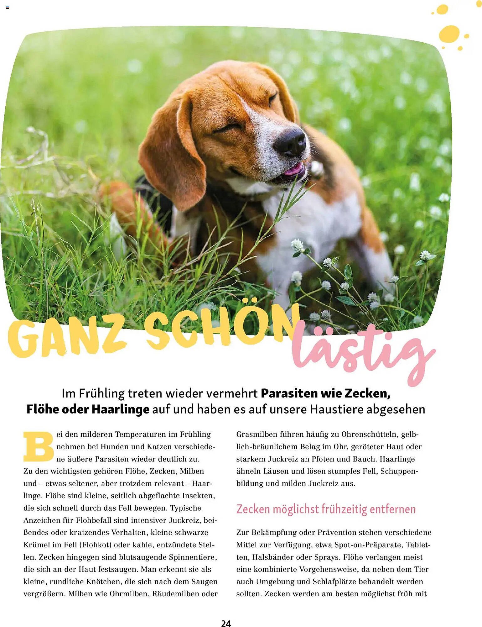 Fressnapf Magazin (2026-03-02 - 2026-04-30)