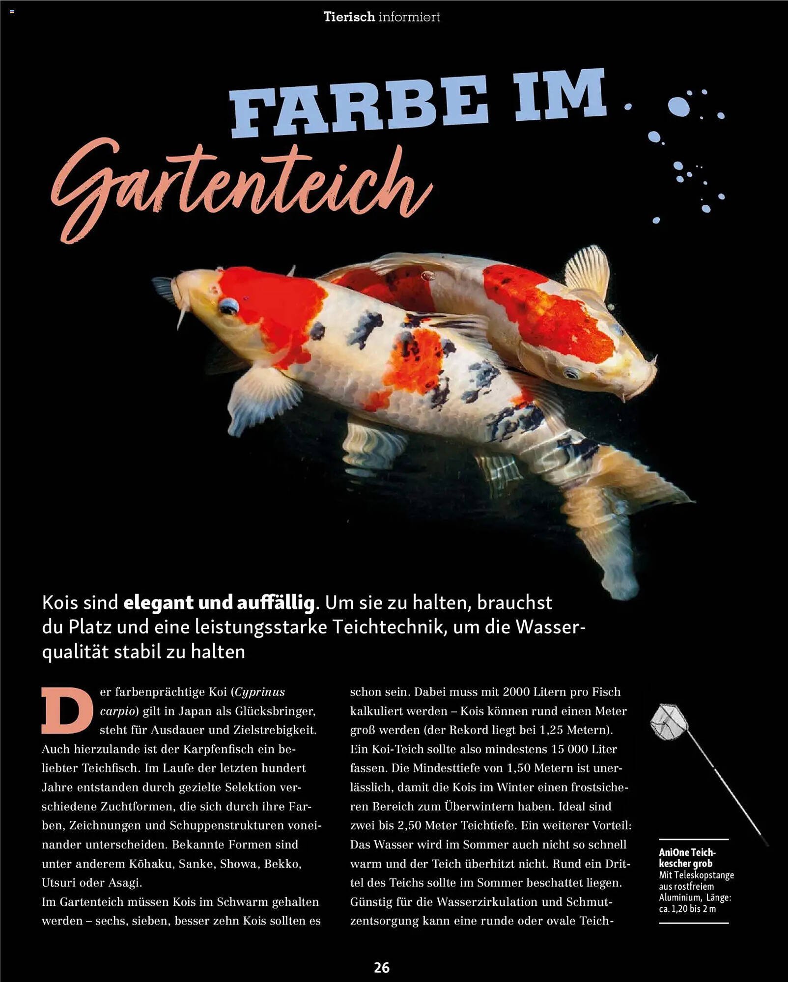 Fressnapf Magazin (2026-03-02 - 2026-04-30)