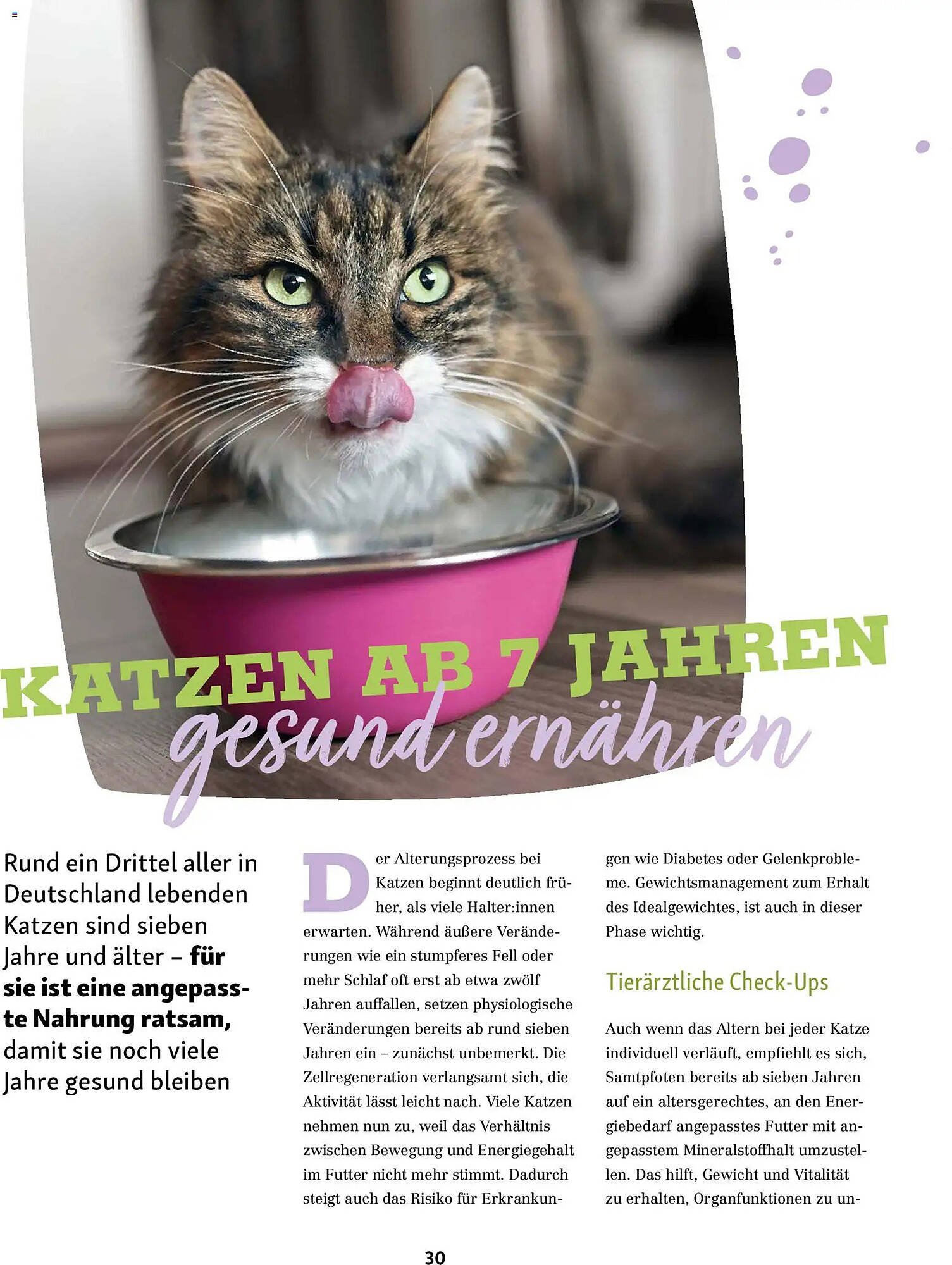 Fressnapf Magazin (2026-03-02 - 2026-04-30)