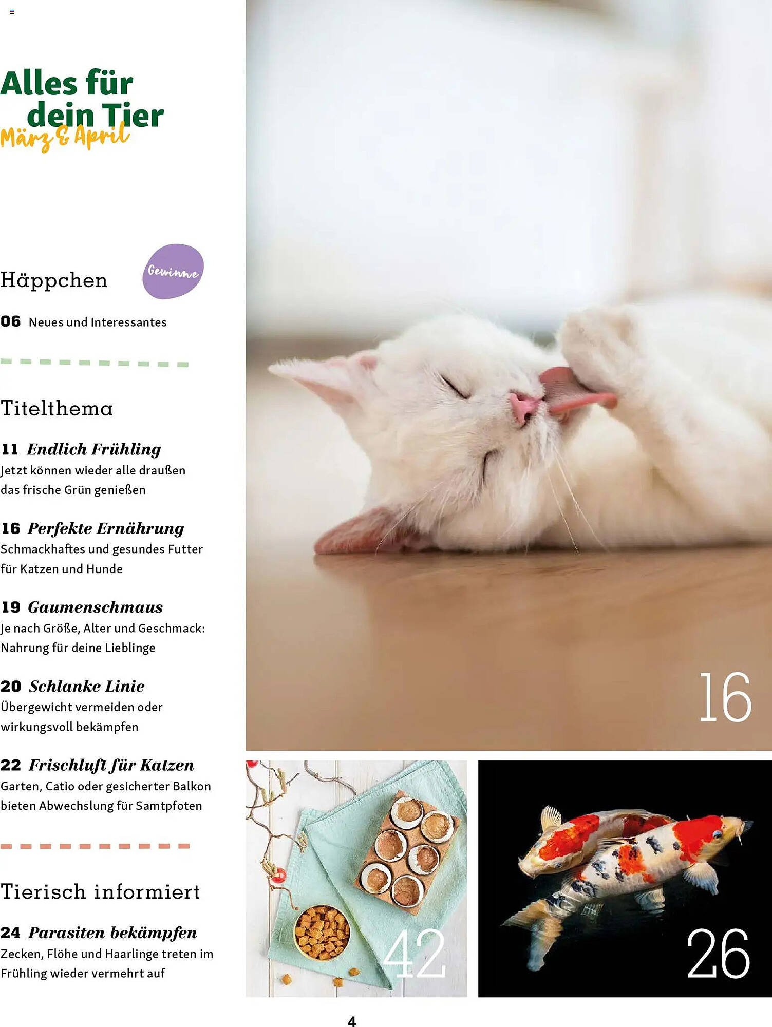Fressnapf Magazin (2026-03-02 - 2026-04-30)