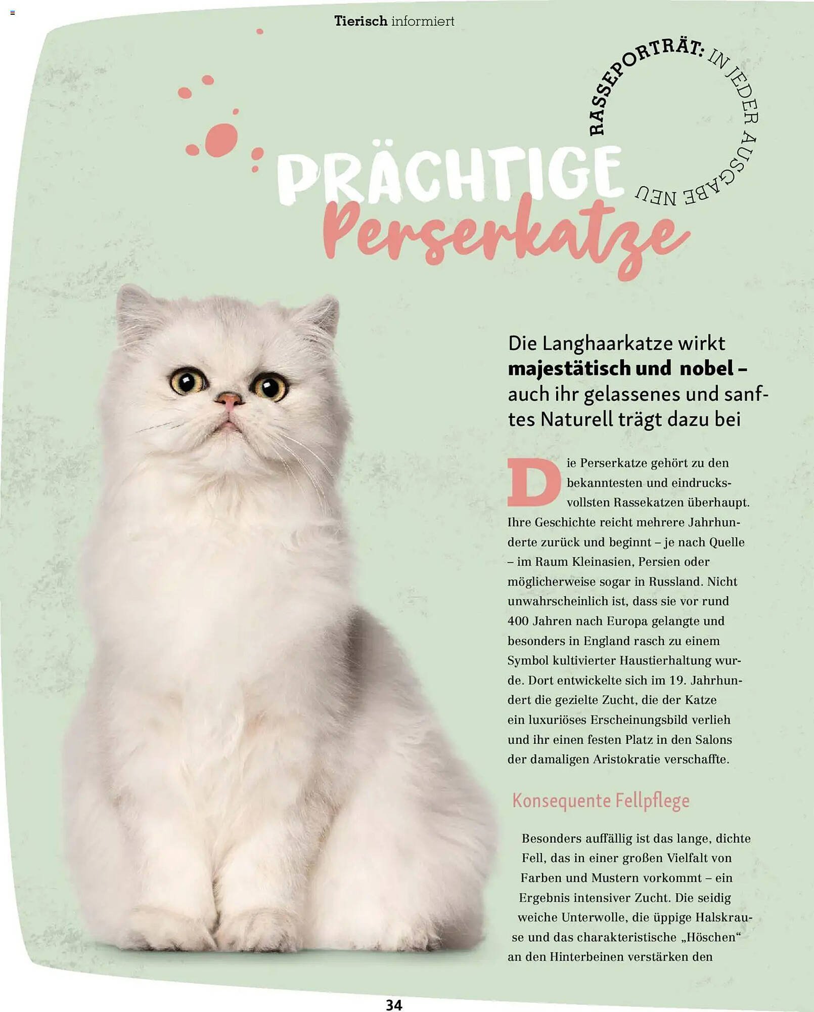 Fressnapf Magazin (2026-03-02 - 2026-04-30)